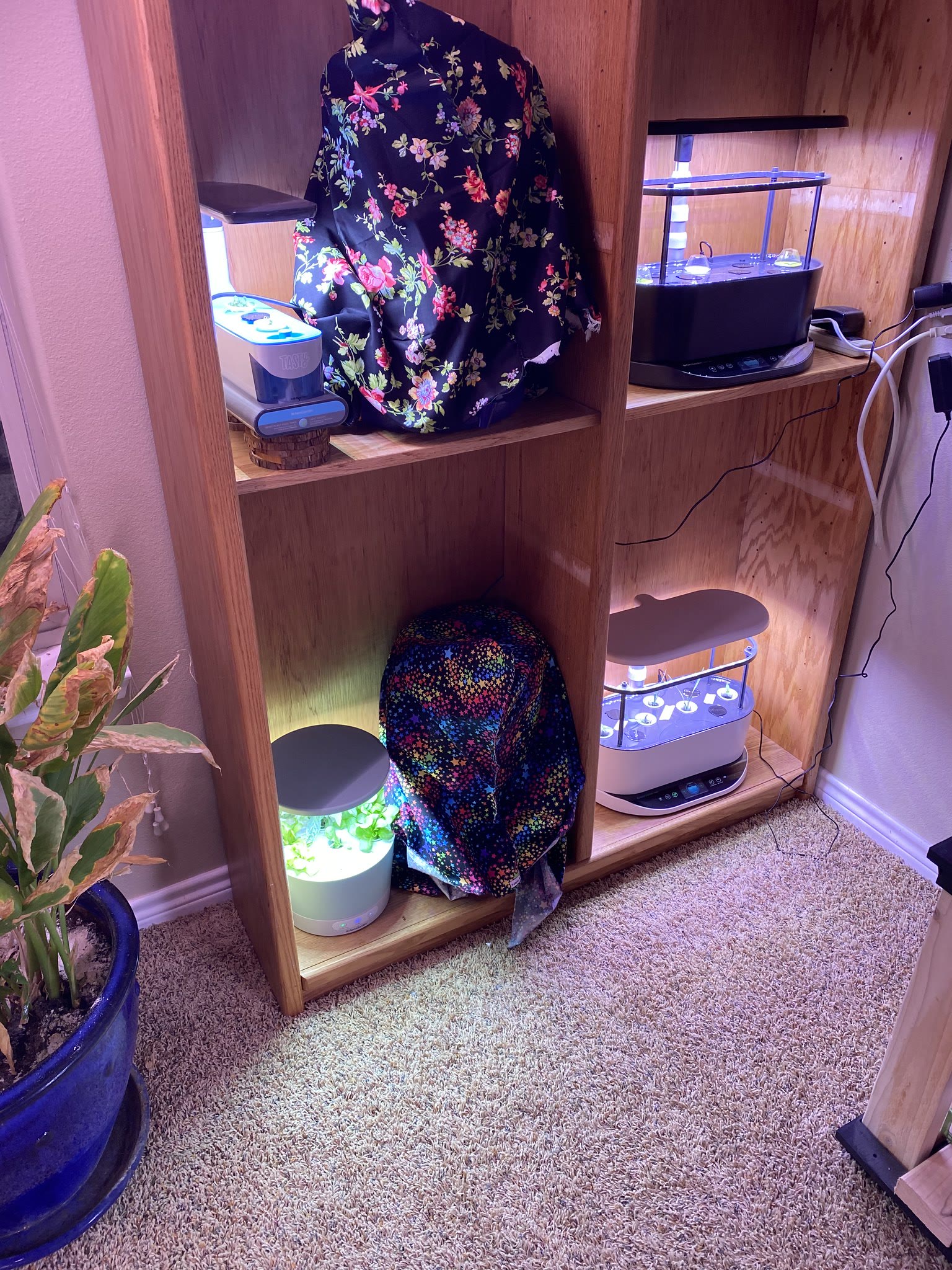 Update #5: Got the rest of my watering systems in and set up tonight