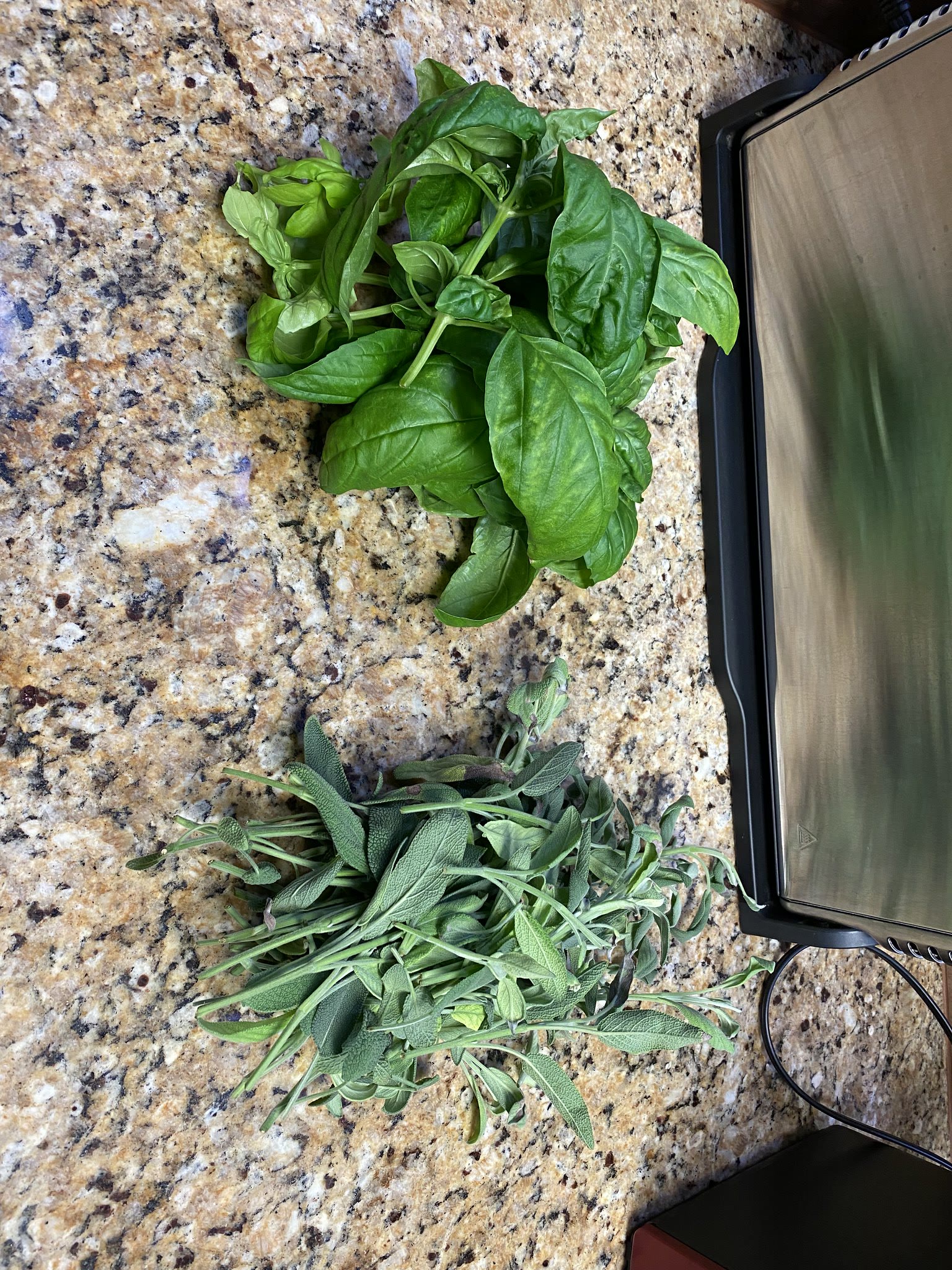 Update #14: Parsley's still growing! Gave the basil and sage a trim! got the sage in the dehydrator and the basil ready and …