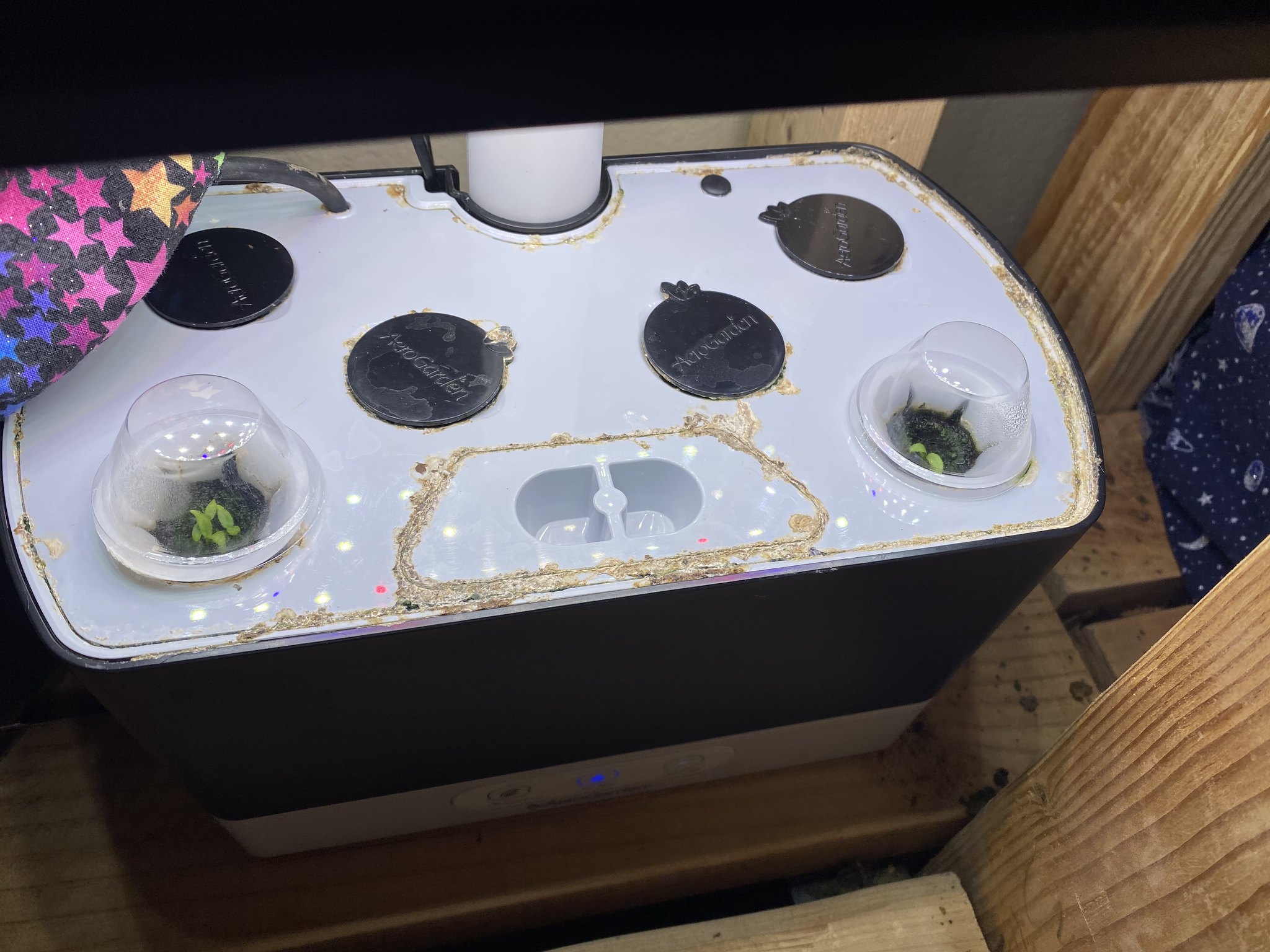 Update #13: Oregano's starting to die a little bit - may be time to replace it. Thyme still looks good Sage is still going s…