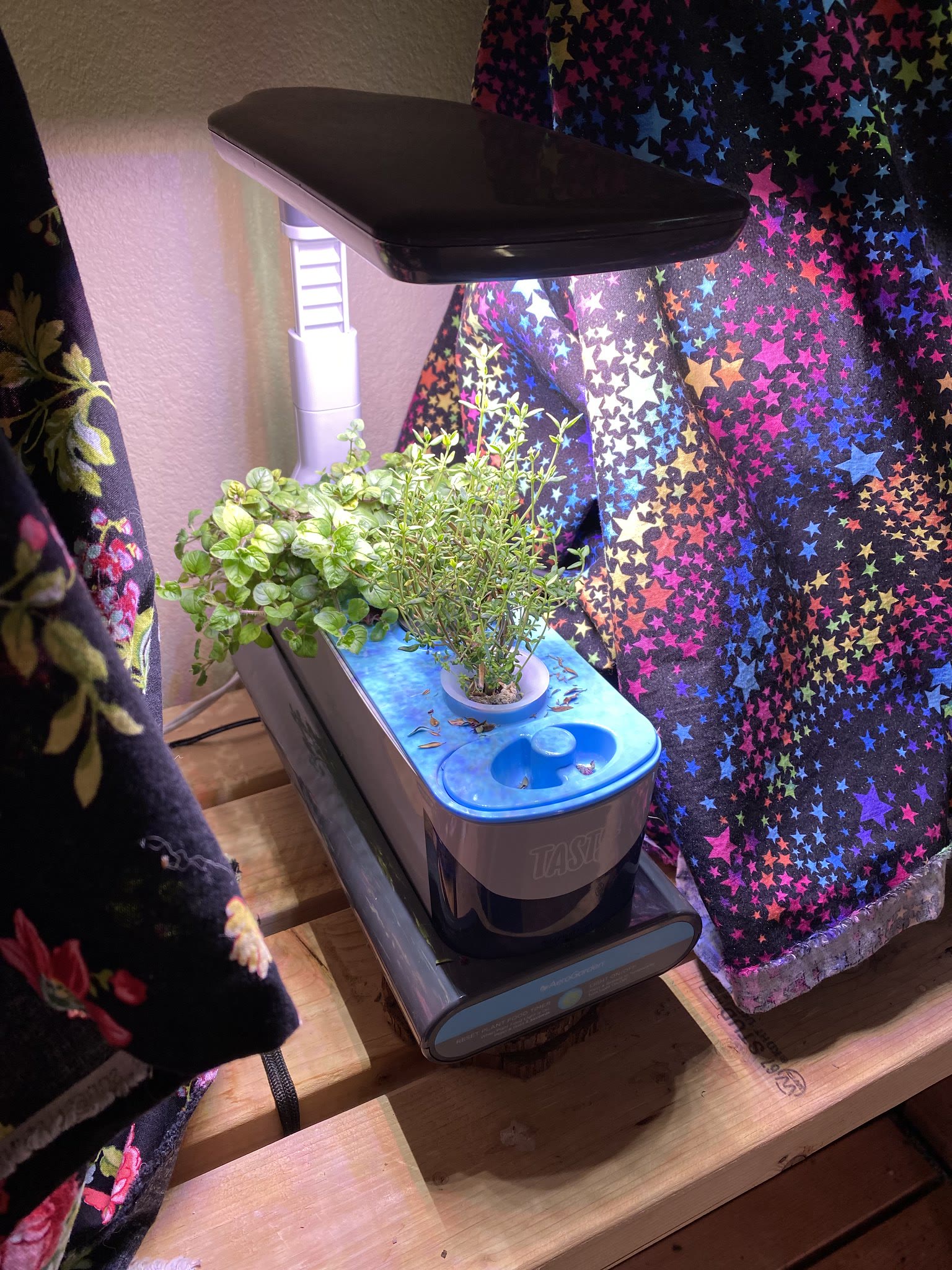 Long-running indoor herb garden with repeated basil, sage, oregano, thyme, and parsley harvests