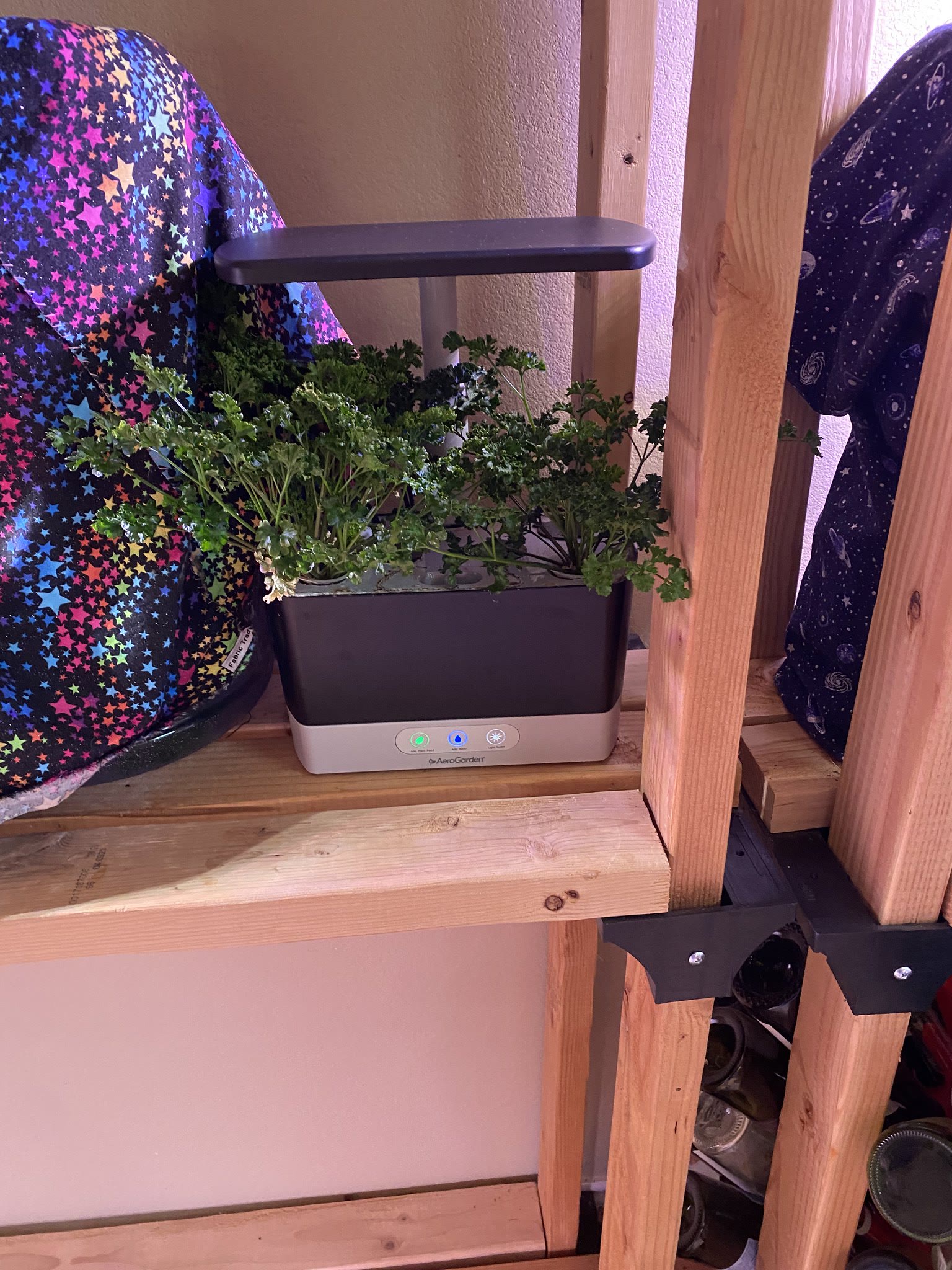 Update #16: The herbs all look good!! I think for the GAL I'm going to end two of these machines to grow the polka-dots plan…