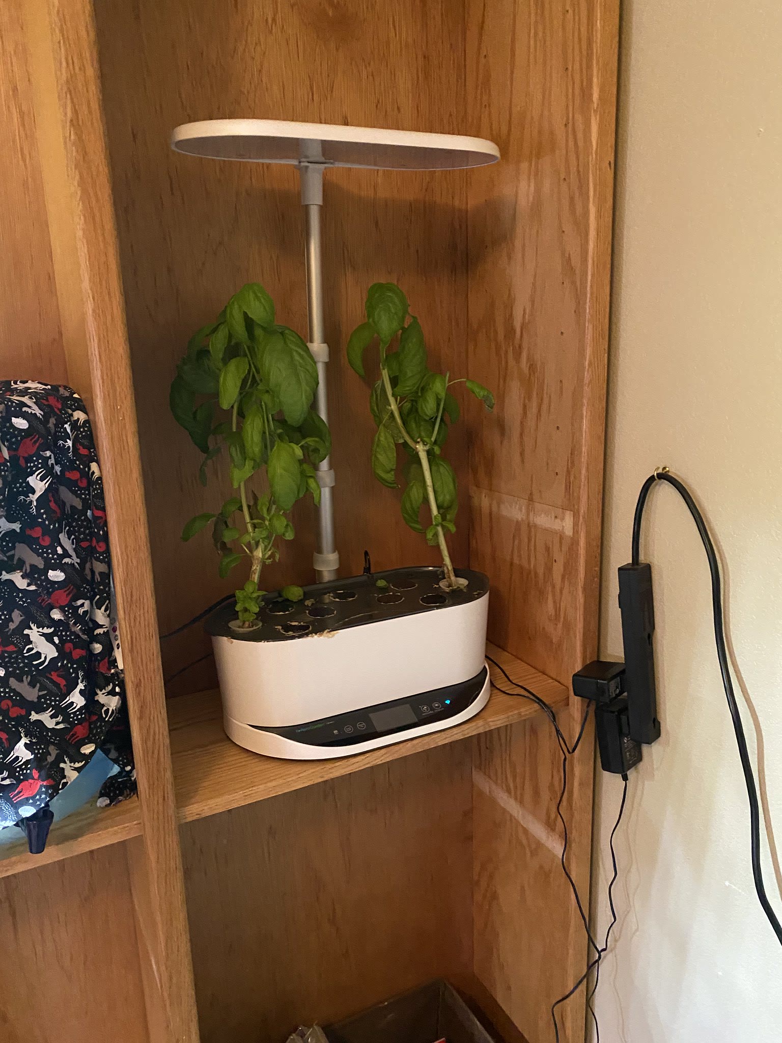 Update #13: Oregano's starting to die a little bit - may be time to replace it. Thyme still looks good Sage is still going s…