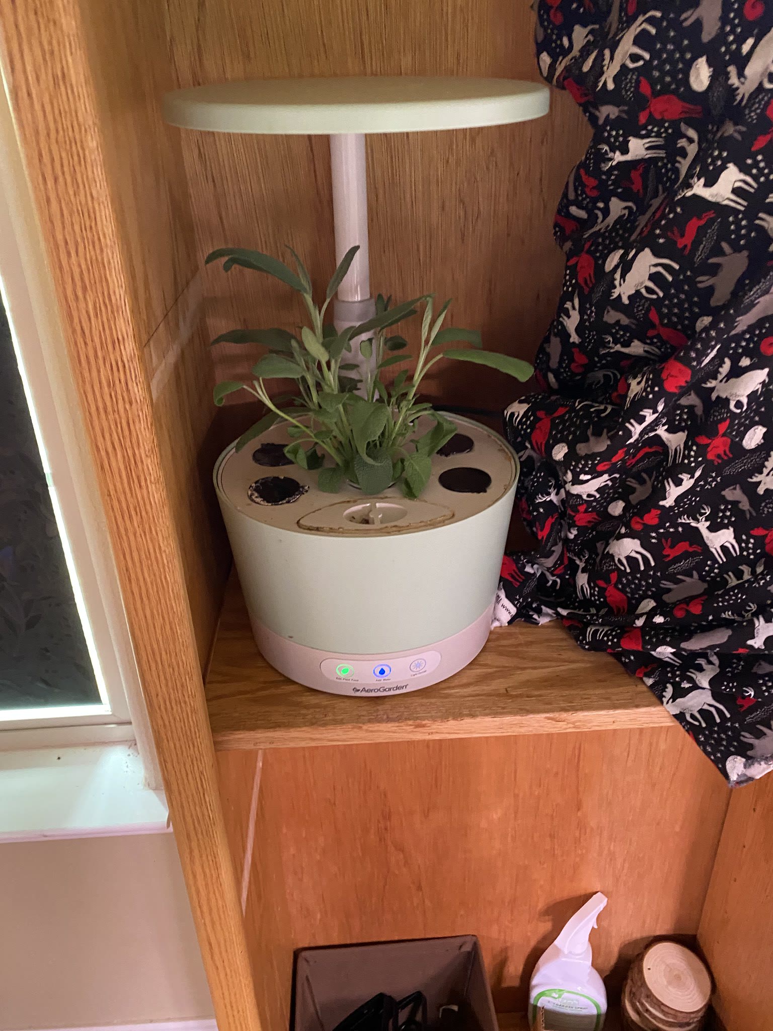 Update #7: Gonna make this a catch-all for the non-lemon balm herb machines, so I don't have to update multiple threads lol…