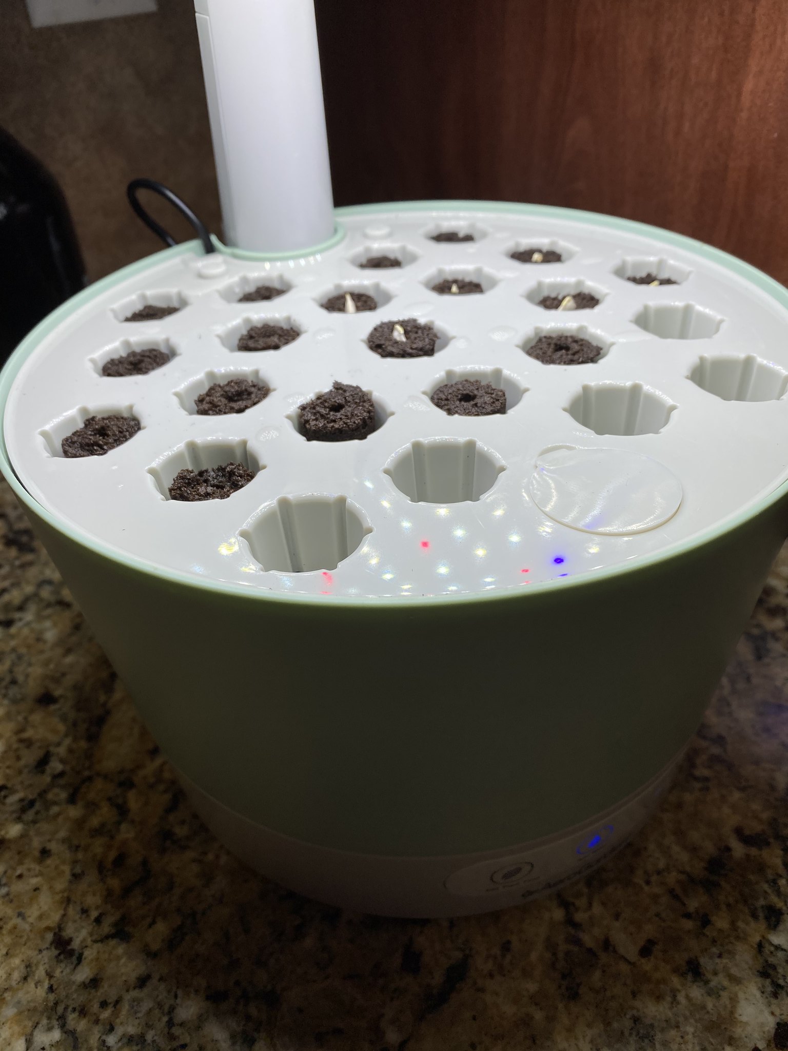Update #6: Started the rest of my Seed Savers projects, which will be outdoor plants!!Planted:Slicing Tomatoes:1 German Pin…