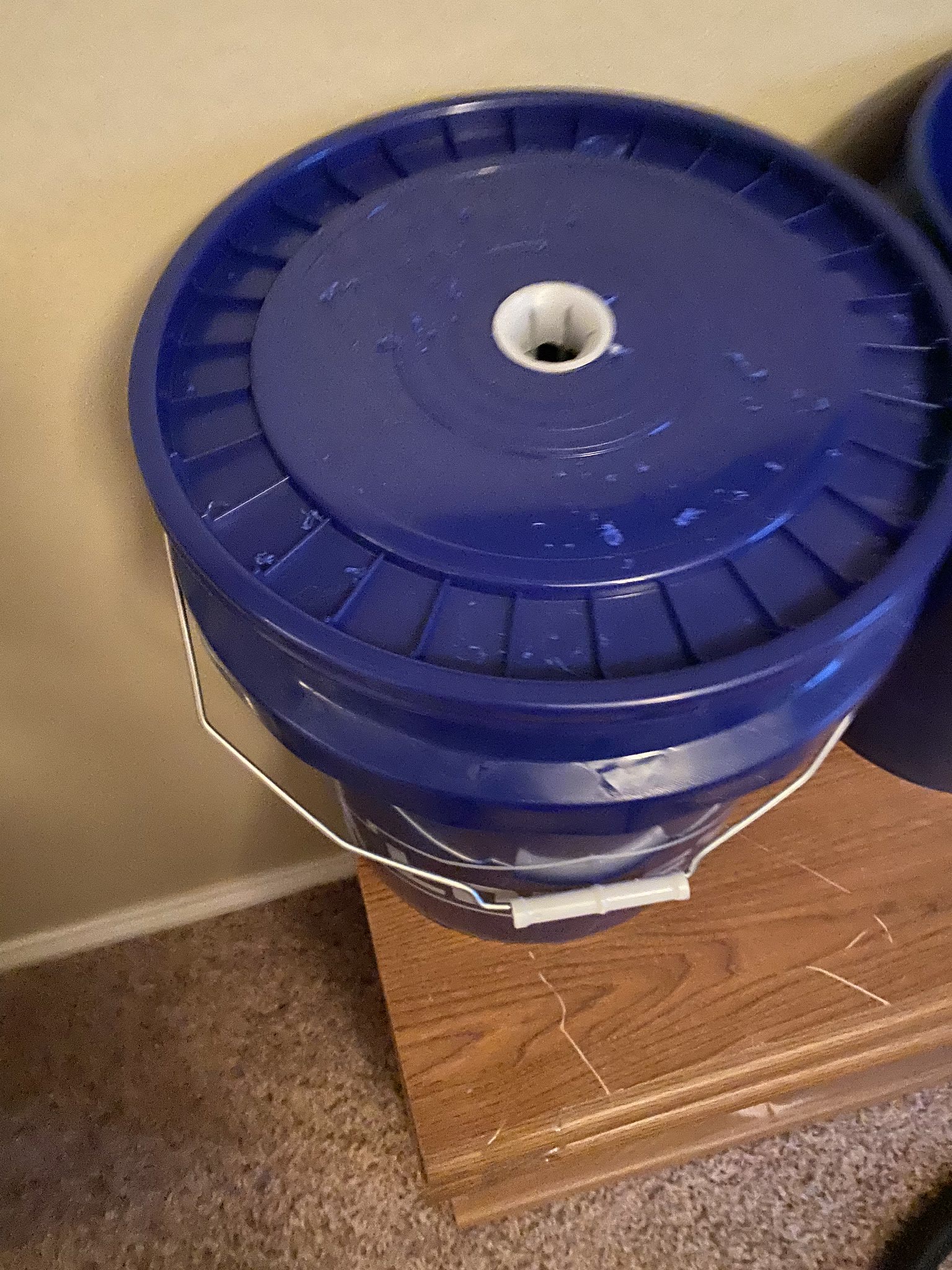 Update #1: Finally got started on my Seed Savers (seeds showed up last week), been a busy week!! Starting two pods each of …