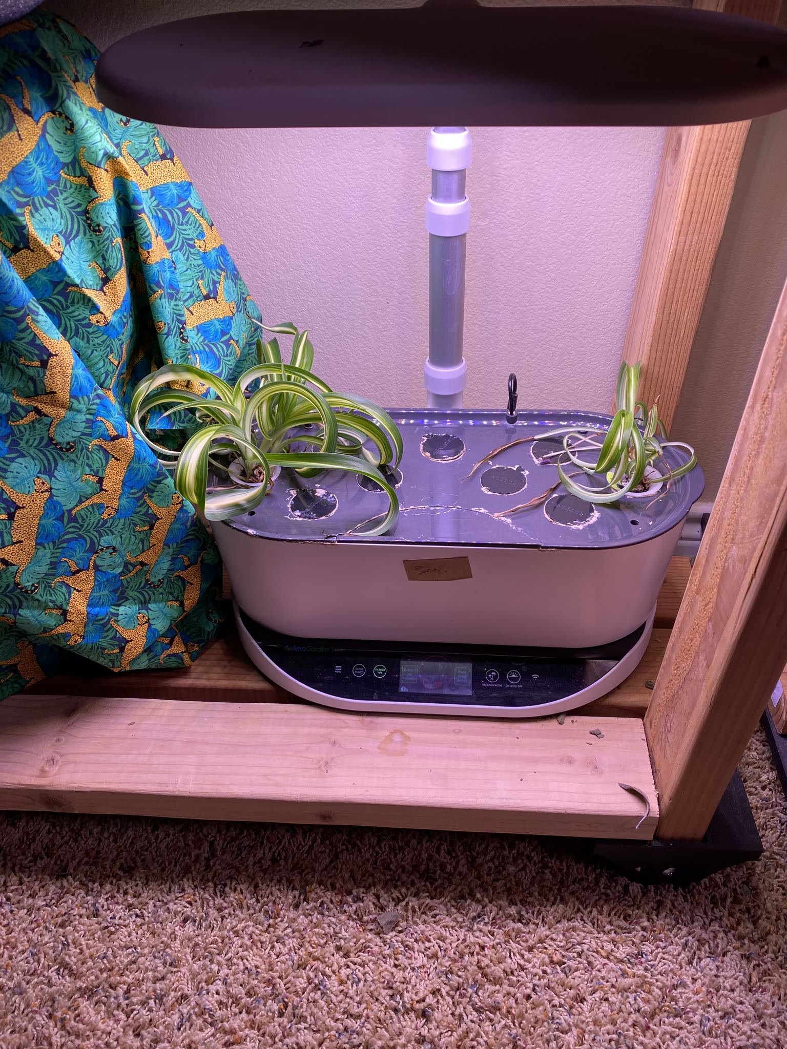 Update #16: Today I ended a bunch of gardens. I've been out of town too much, even with the reservoirs, and too busy when I …
