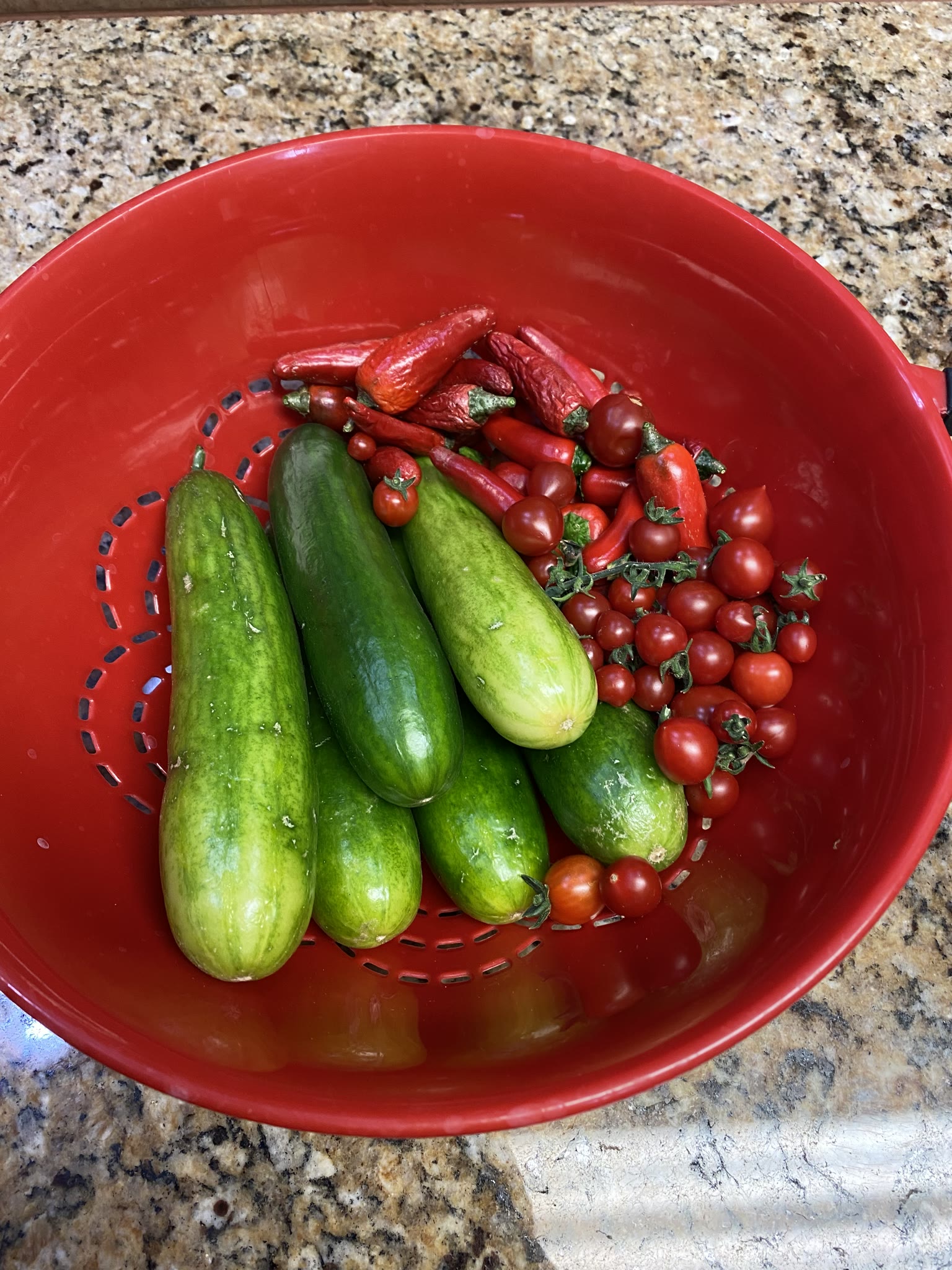 Update #13: Only 4 days in, and it's already been a busy new year!! Finally got a chance to mess with the gardens a bit. The…