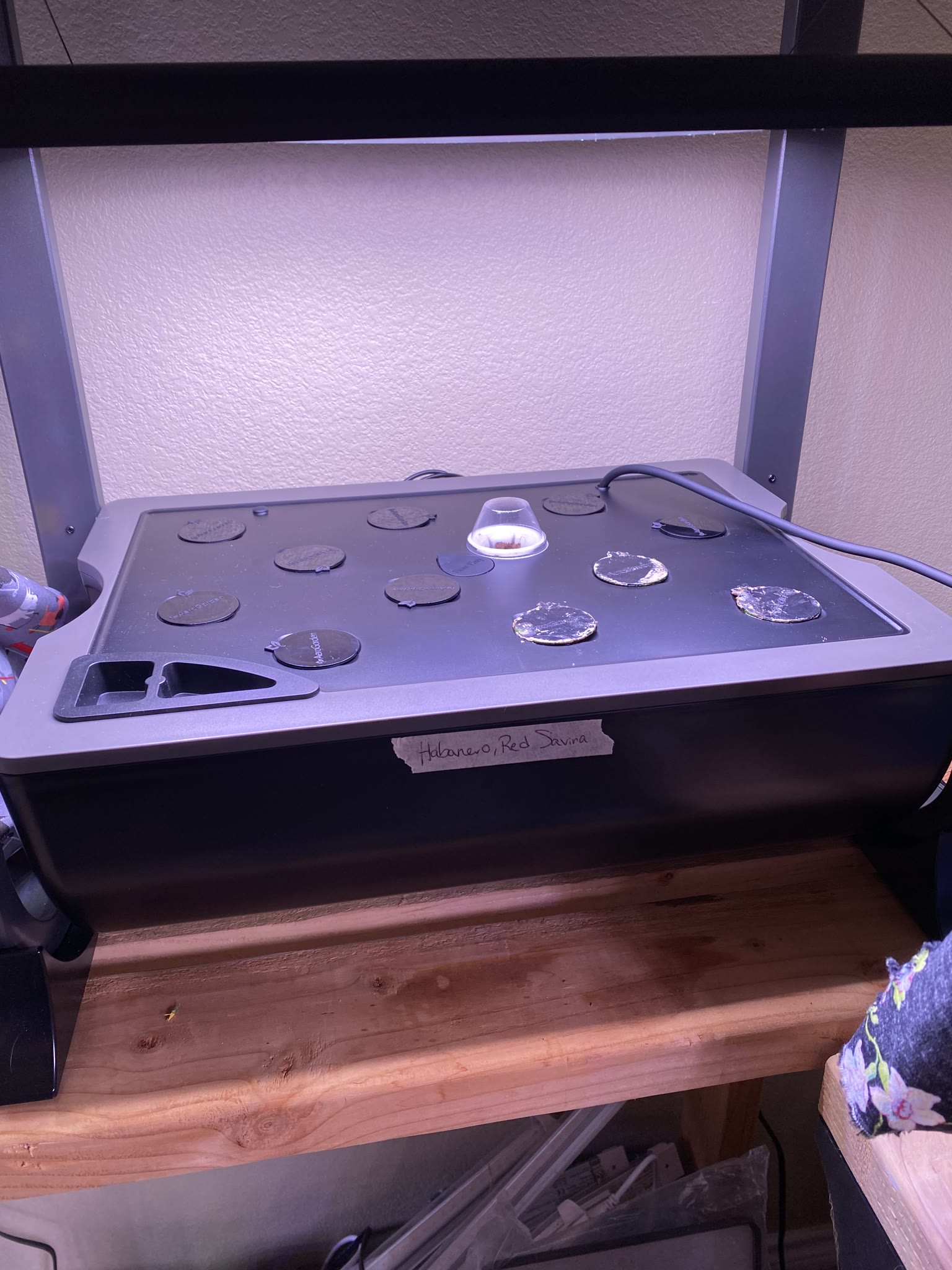 Update #2: I held off until today to plant everything, got my adapter for the sink to garden hose!! Made filling the garden…
