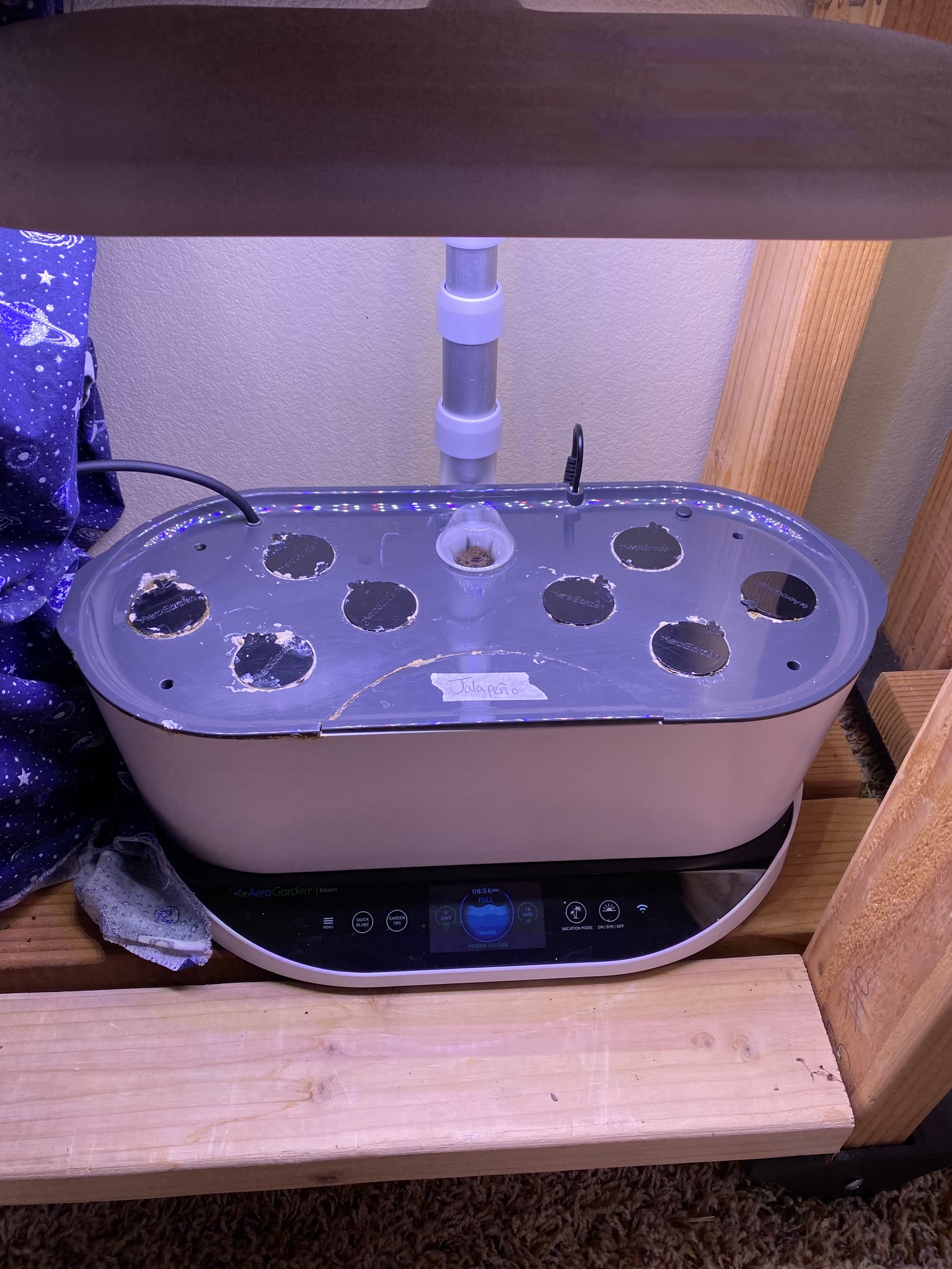 Update #2: I held off until today to plant everything, got my adapter for the sink to garden hose!! Made filling the garden…