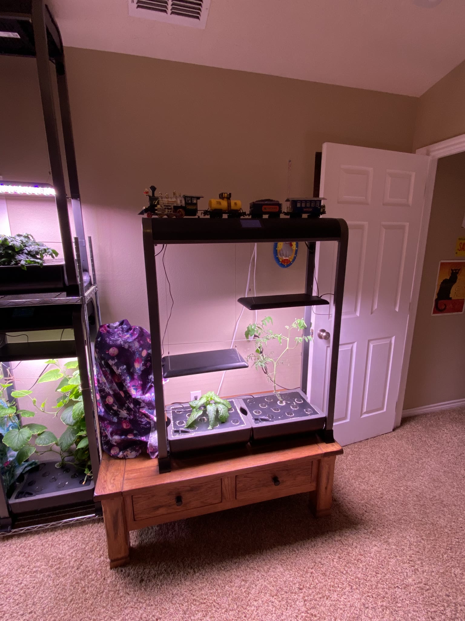 Update #1: I squeezed all my new farms in there!!! I haven't planted them yet, I go out of town tomorrow and won't be back …