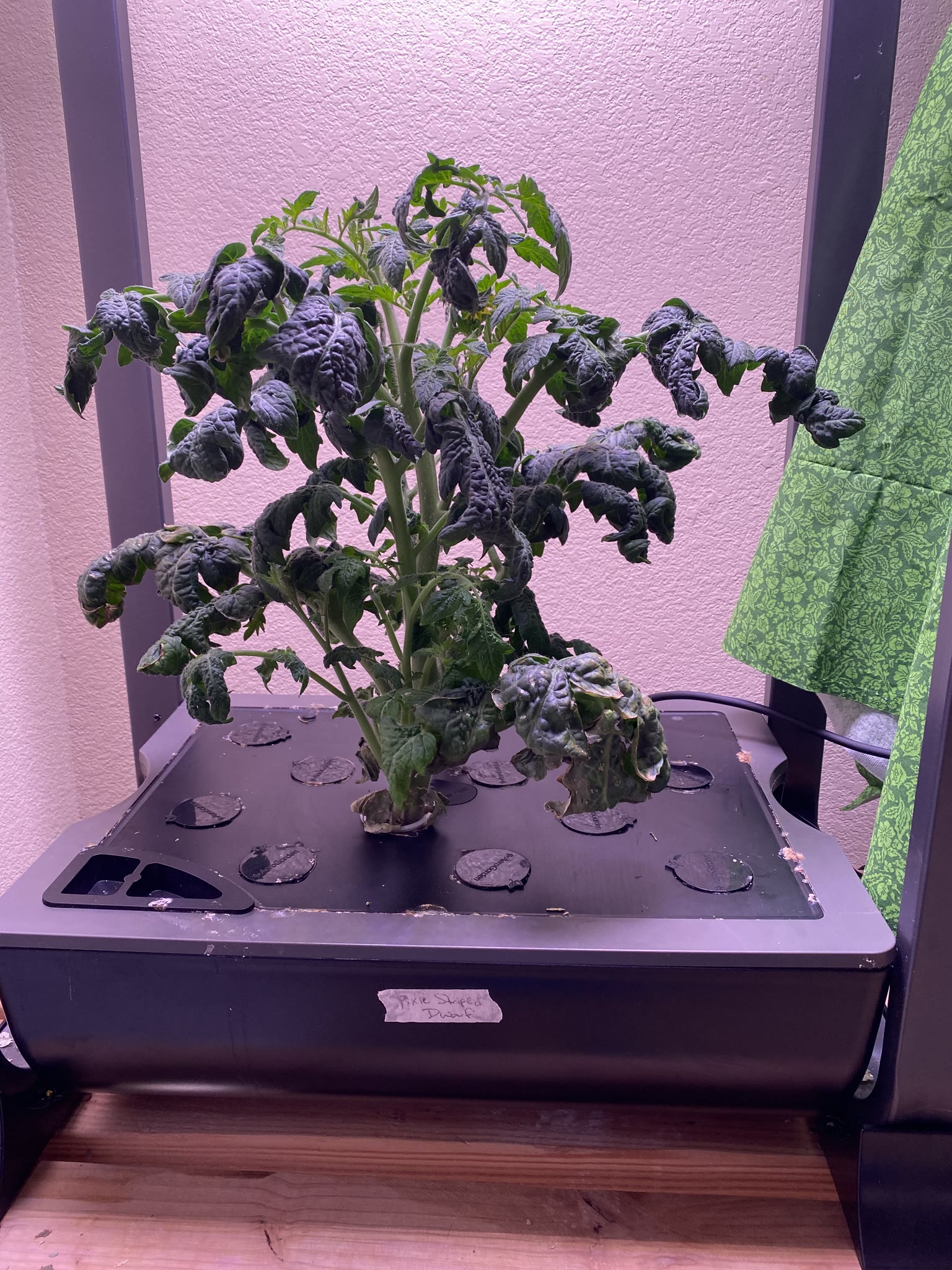 Update #14: Ended and started up a lot of gardens today!! Some of them were actually ended a couple of weeks ago, I just did…