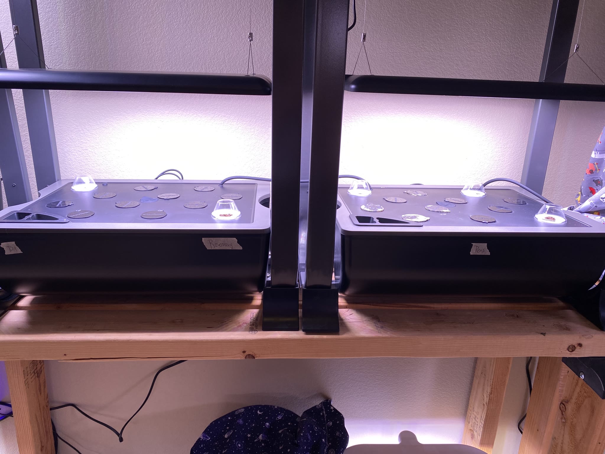 Update #2: I held off until today to plant everything, got my adapter for the sink to garden hose!! Made filling the garden…