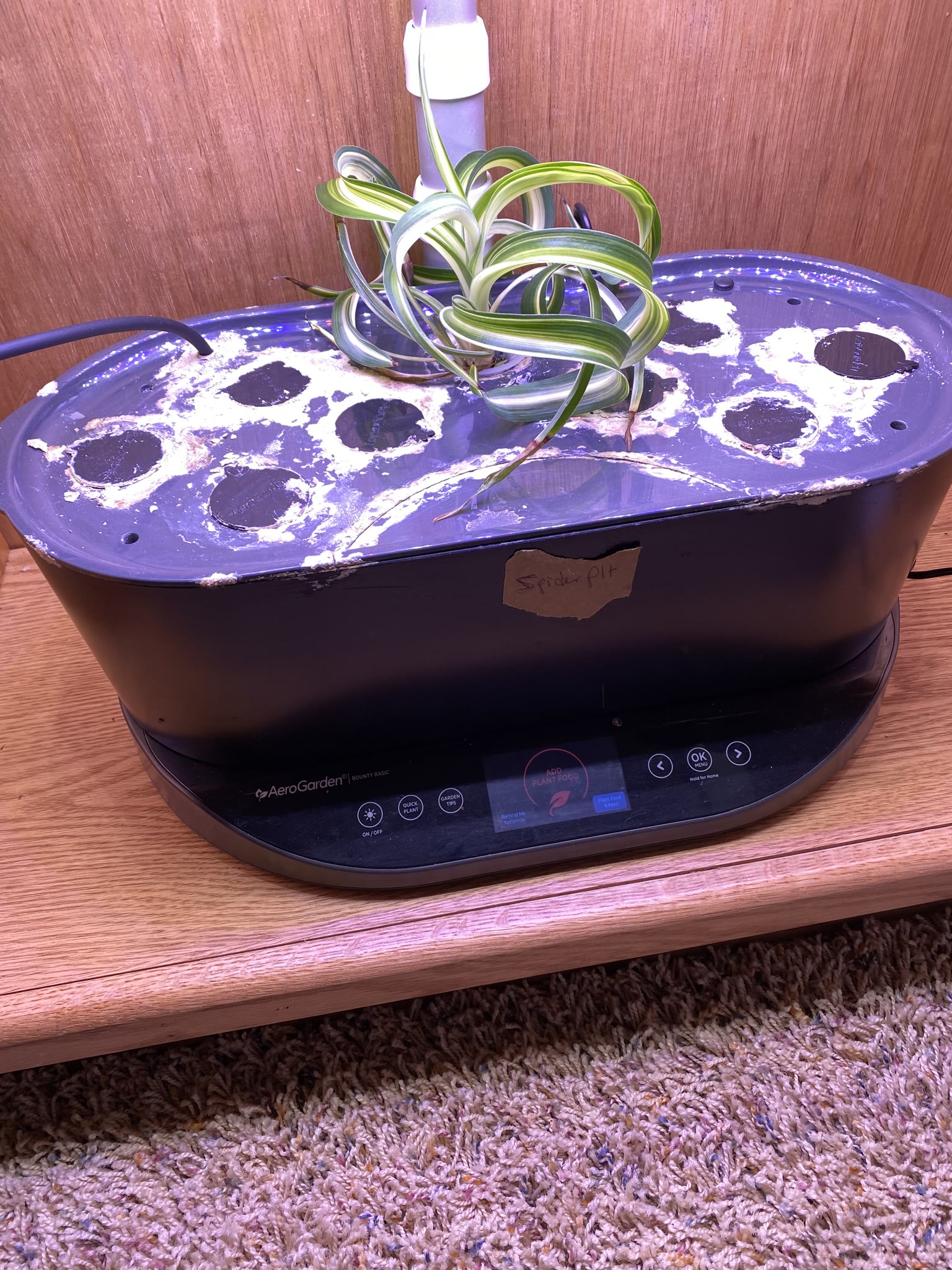 Update #16: Today I ended a bunch of gardens. I've been out of town too much, even with the reservoirs, and too busy when I …