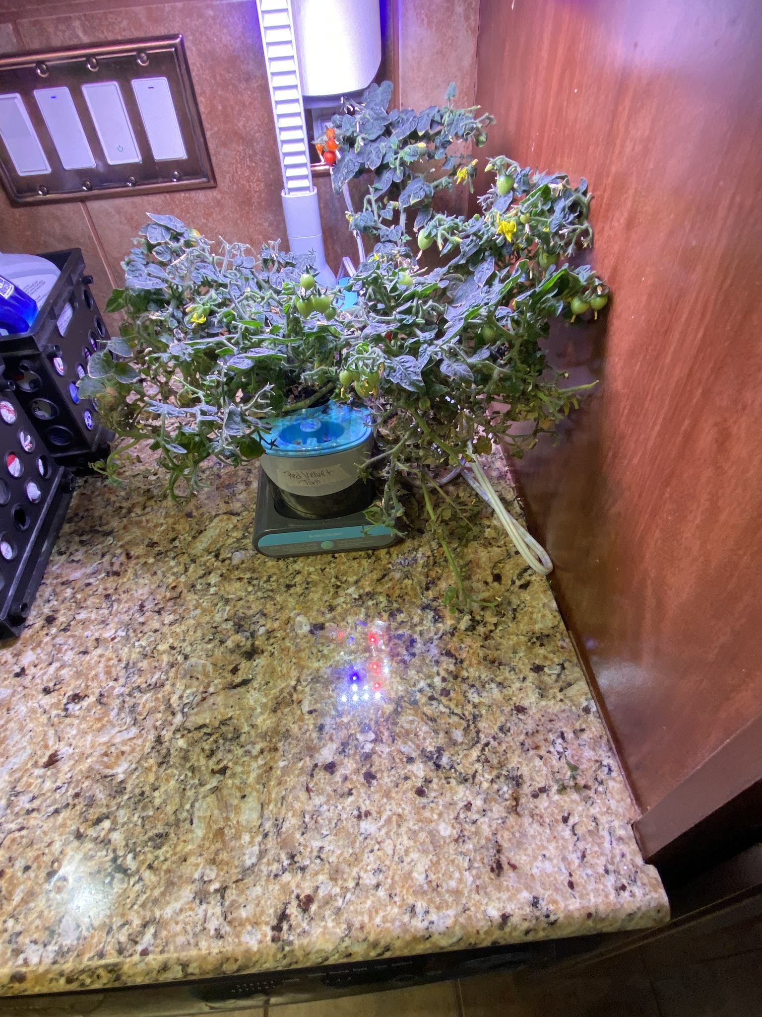 Update #14: Ended and started up a lot of gardens today!! Some of them were actually ended a couple of weeks ago, I just did…