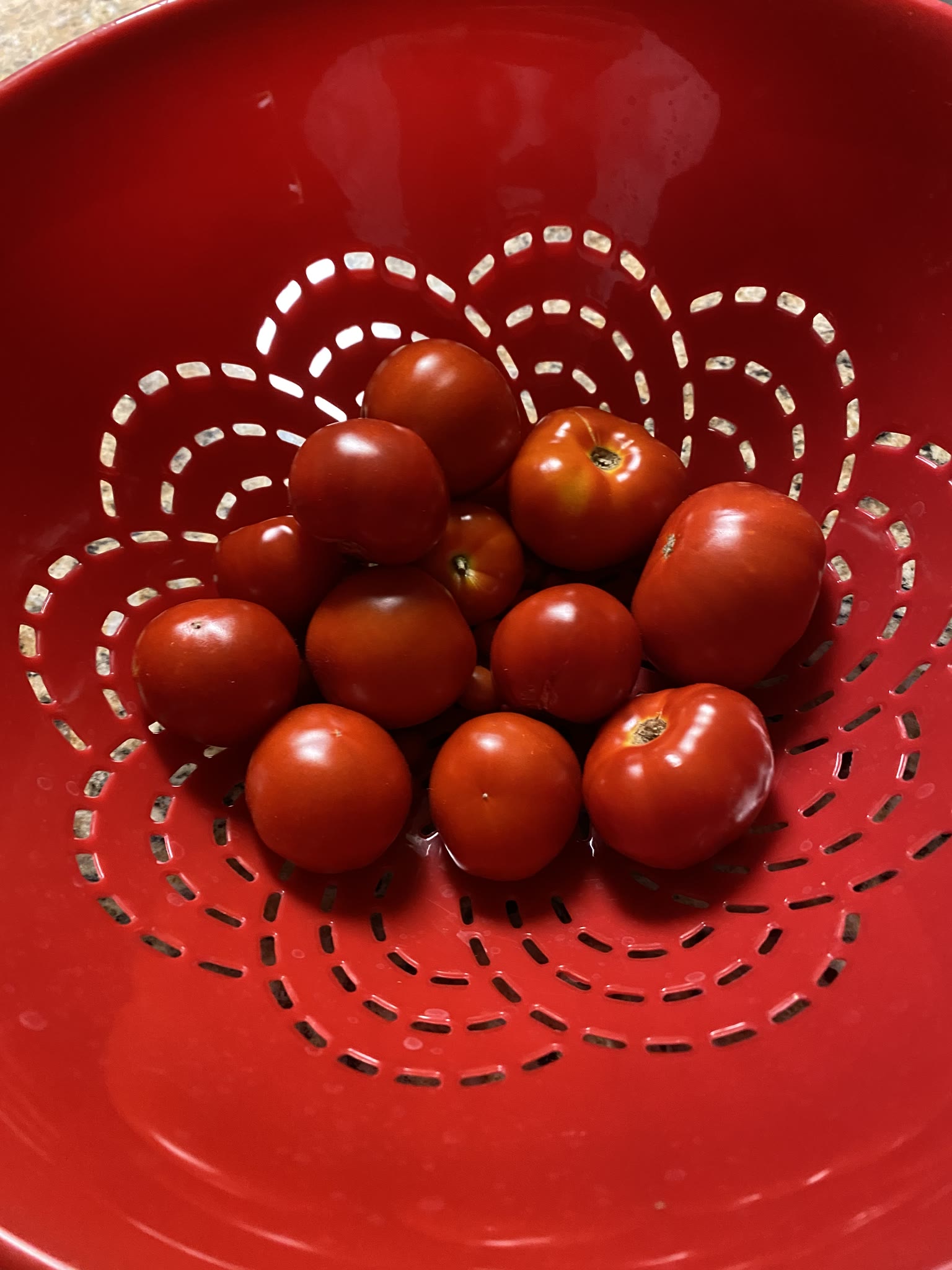 Update #16: Today I ended a bunch of gardens. I've been out of town too much, even with the reservoirs, and too busy when I …