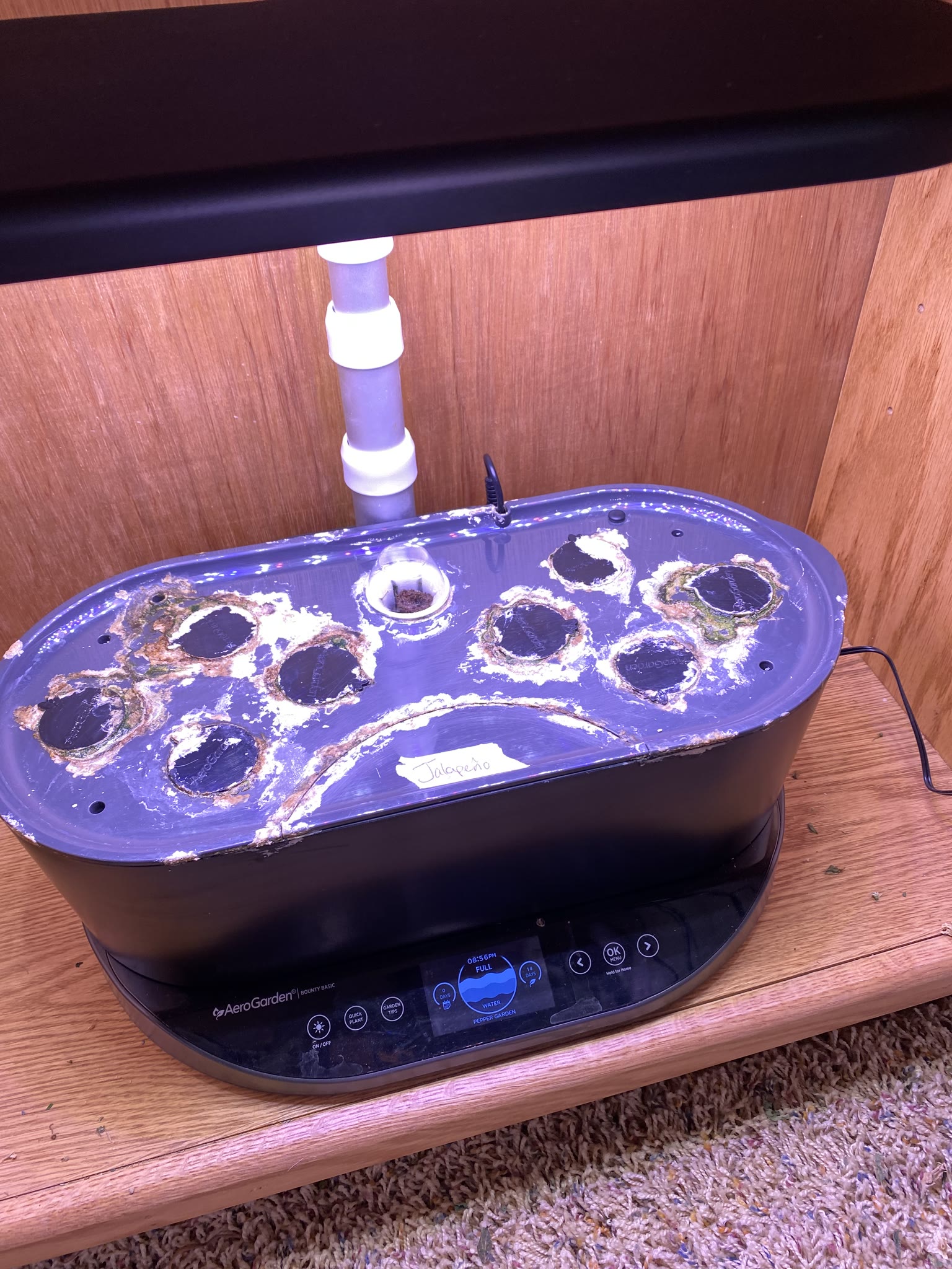 Update #2: I held off until today to plant everything, got my adapter for the sink to garden hose!! Made filling the garden…