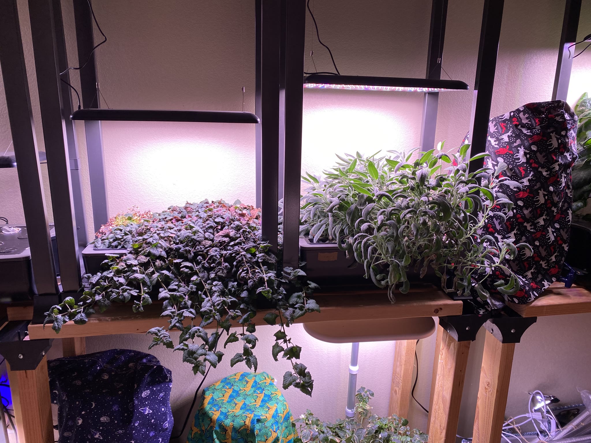 Update #13: Only 4 days in, and it's already been a busy new year!! Finally got a chance to mess with the gardens a bit. The…