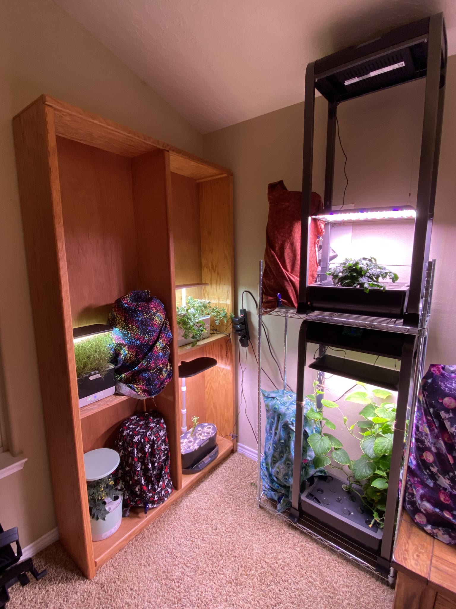Update #1: I squeezed all my new farms in there!!! I haven't planted them yet, I go out of town tomorrow and won't be back …