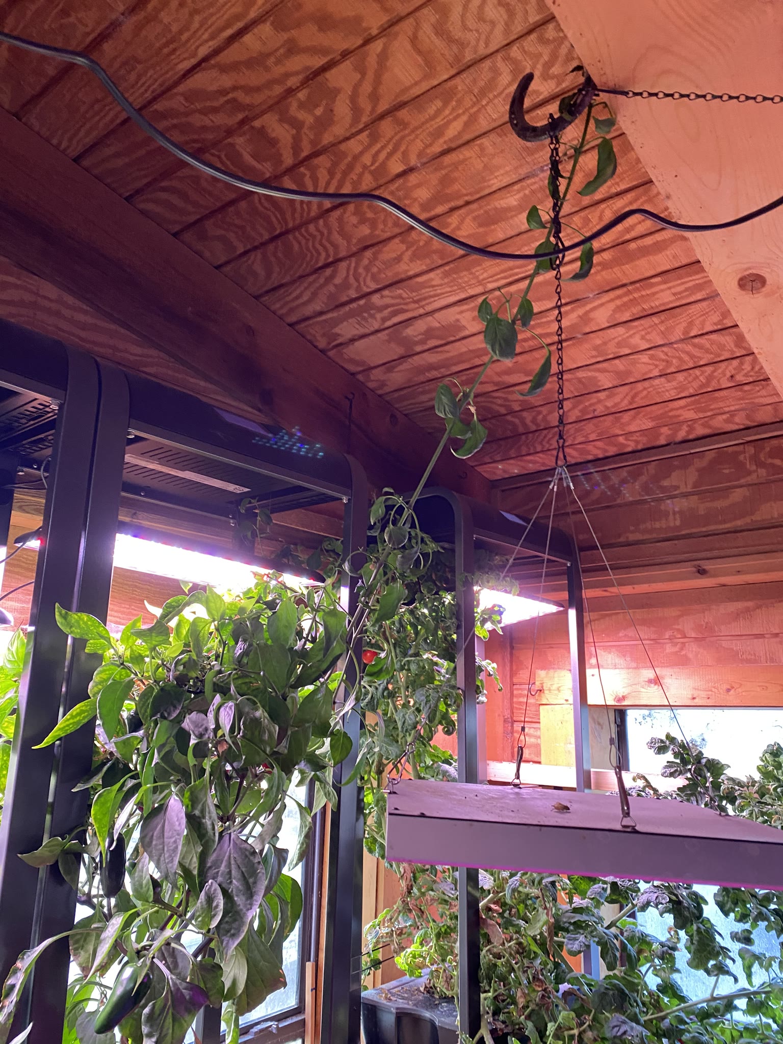 Update #8: Well, some things happened with work that delayed the process, but I finally have my gardens back!! Moving them …