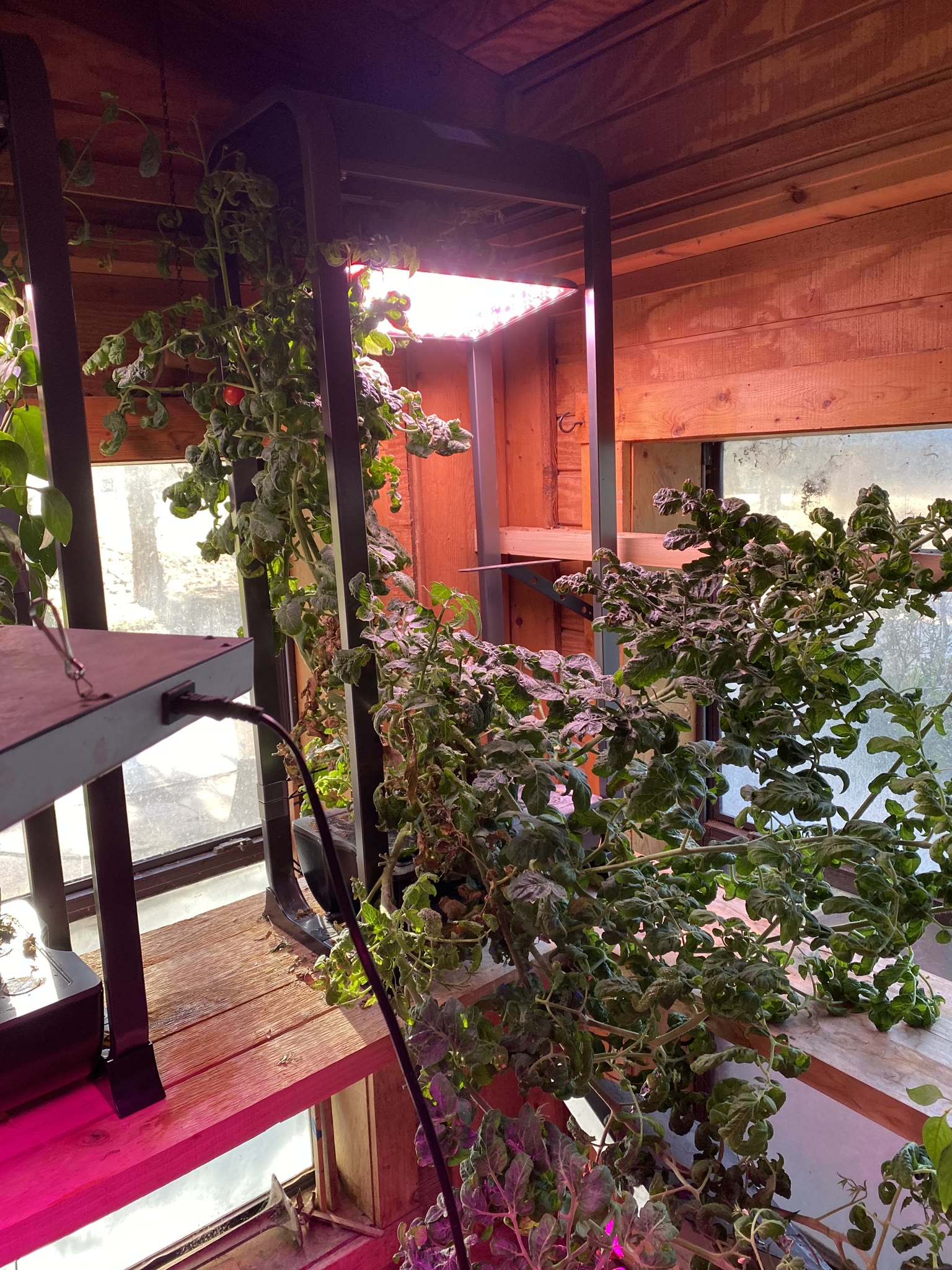 Update #8: Well, some things happened with work that delayed the process, but I finally have my gardens back!! Moving them …