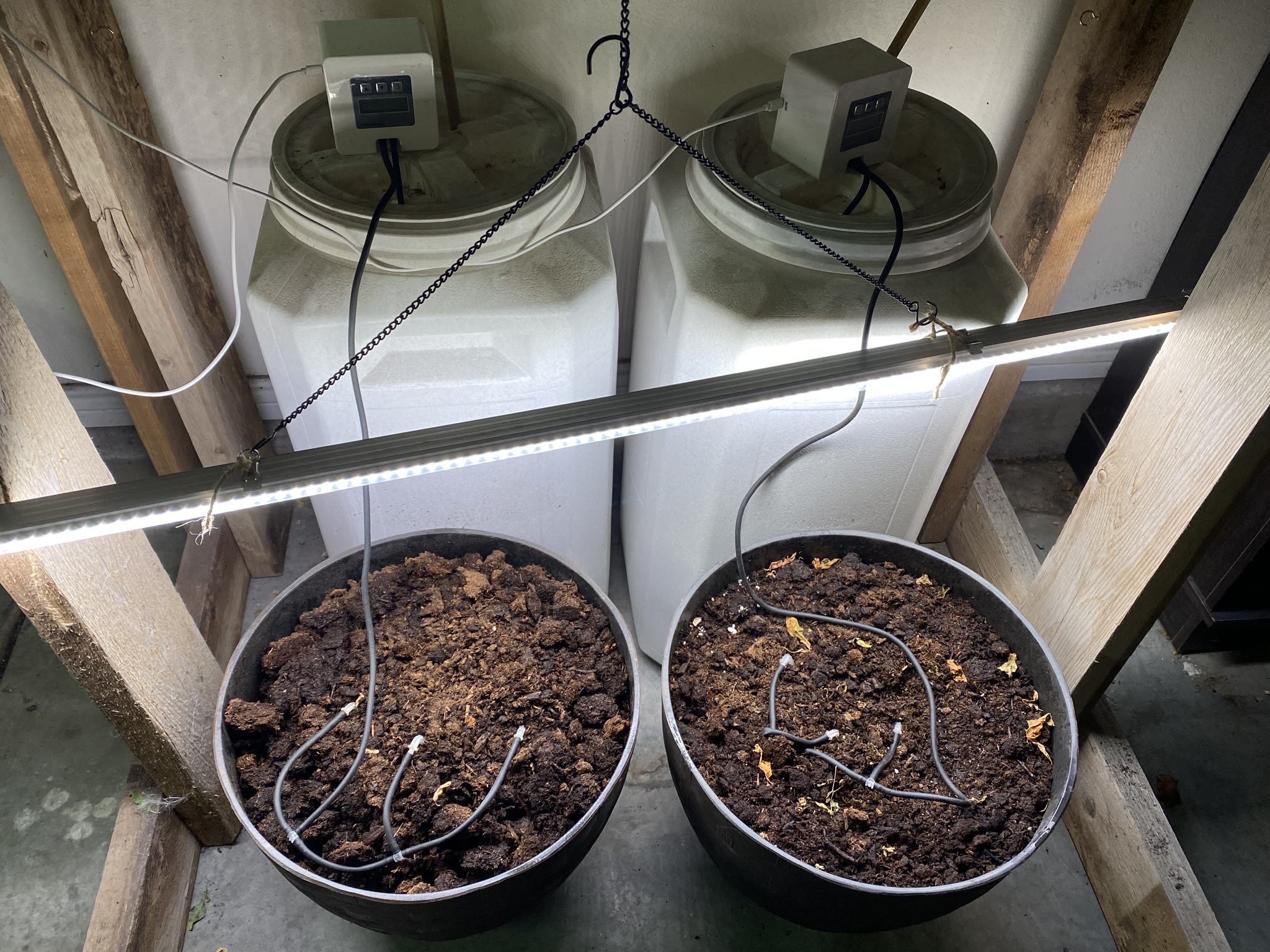 Update #1: Got the machines planted! Decided on Dwarf Pixie Striped tomatoes to go with the pepper plants And also the gara…