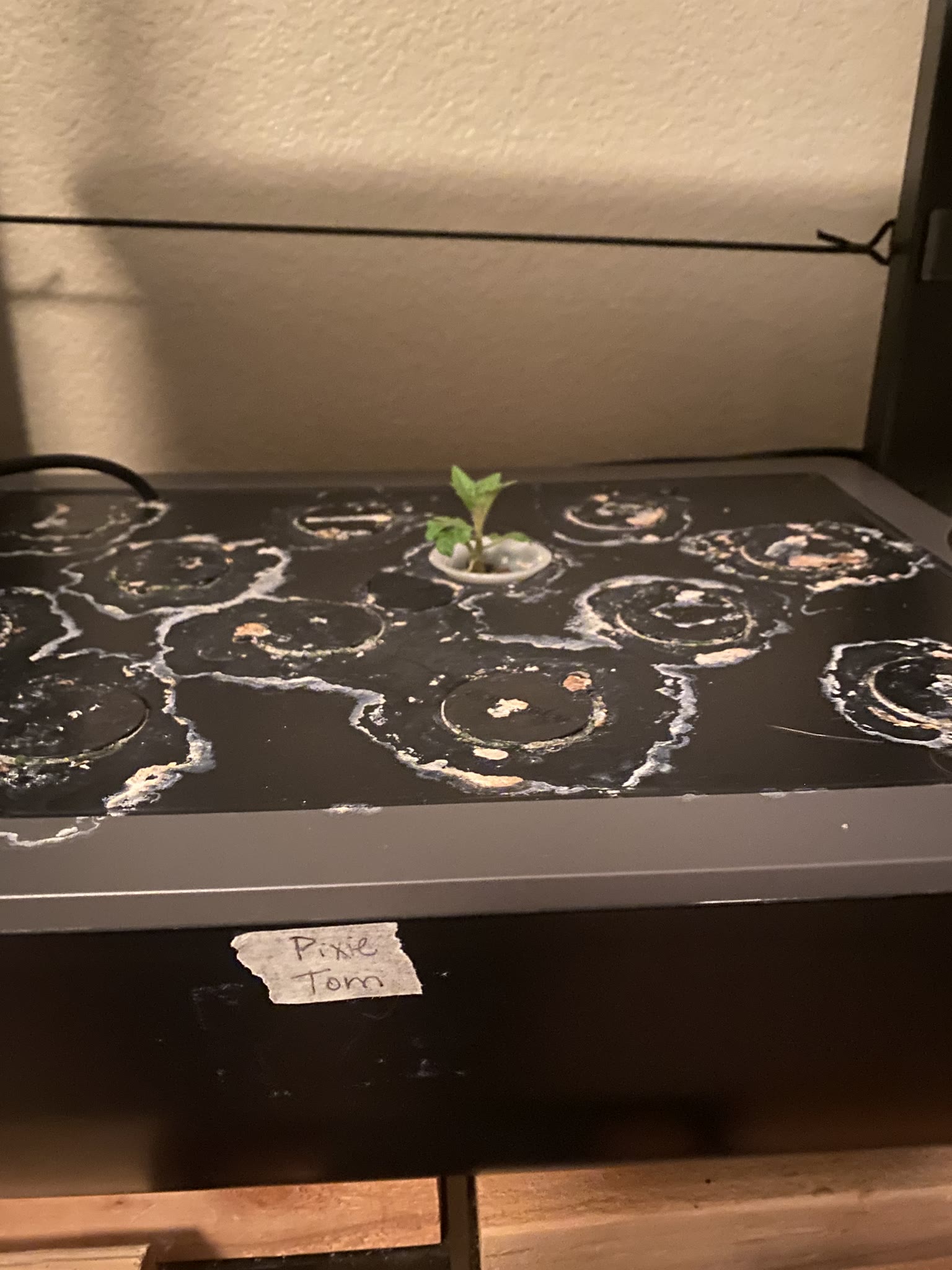 Update #4: The plants are doing really well! Going to keep these guys going for as long as I can before the move. Hoping to…