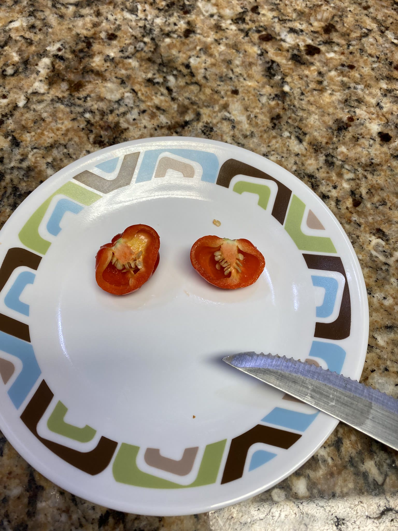 Update #21: I got a habanero!! Never even saw it until today, when I squatted down in front of the machine to clean up some …