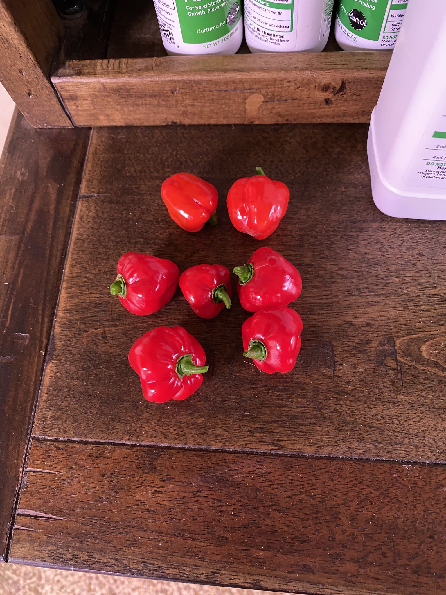 Update #28: All 4 pods of tomatoes came up!! This was a delightful surprise, because I used the last 4 seeds that I had for …
