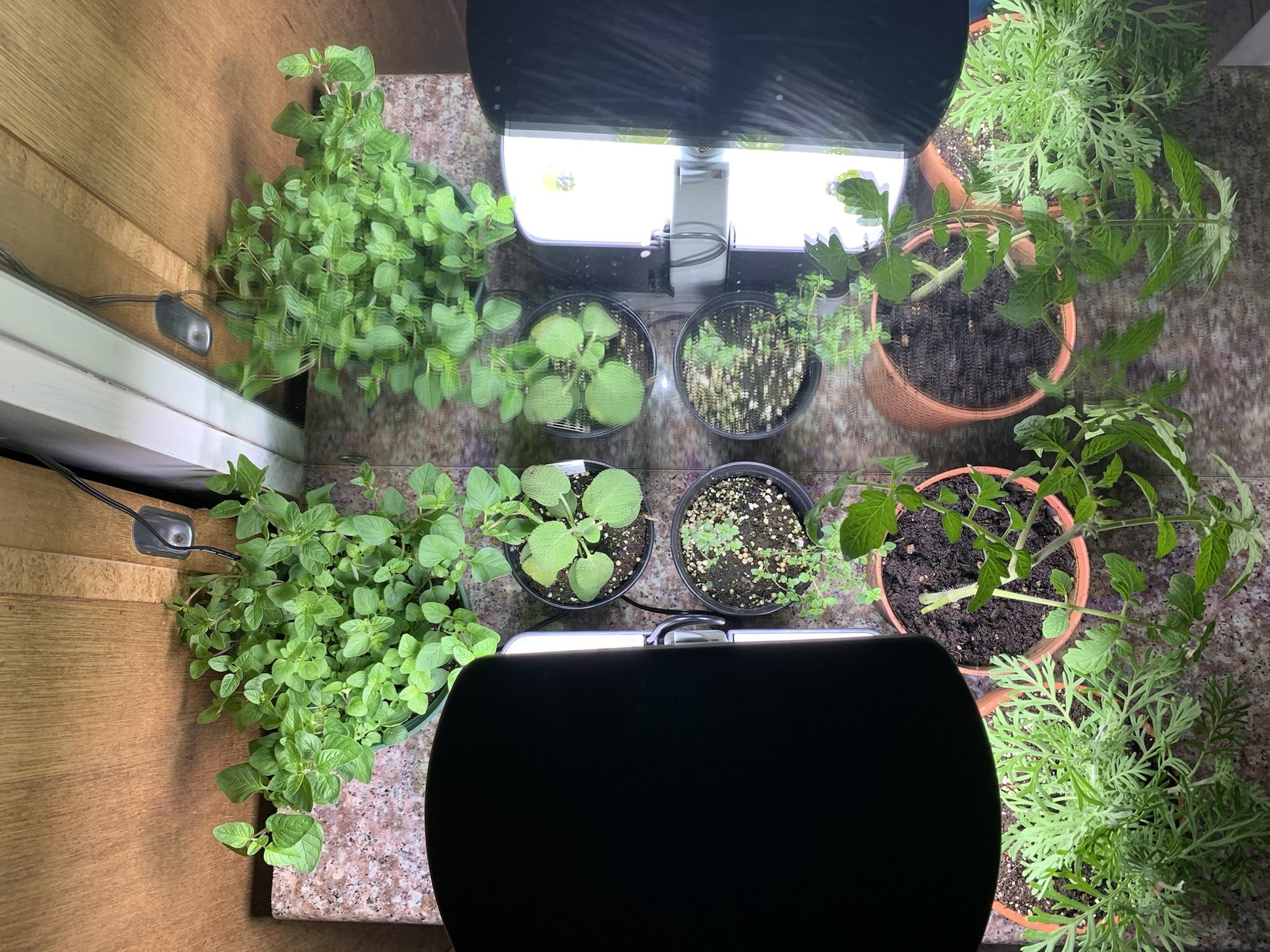 Update #1: And we're off! While this is exactly the kind of system I was looking for in my new place, I already have a coup…