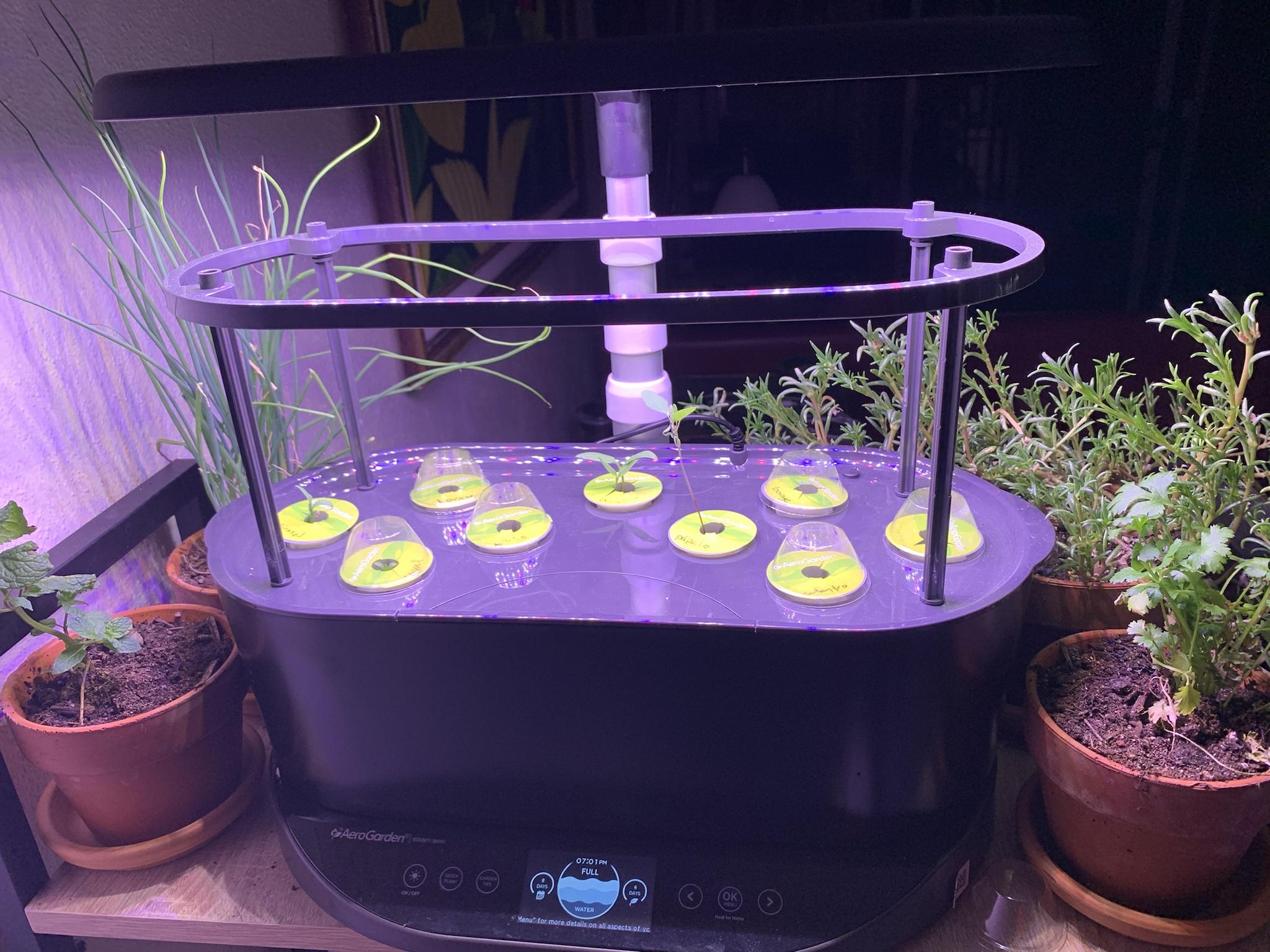 Update #8: It's been about fifty days from my first garden ... and now I have three. I've been trying to track growth on an…