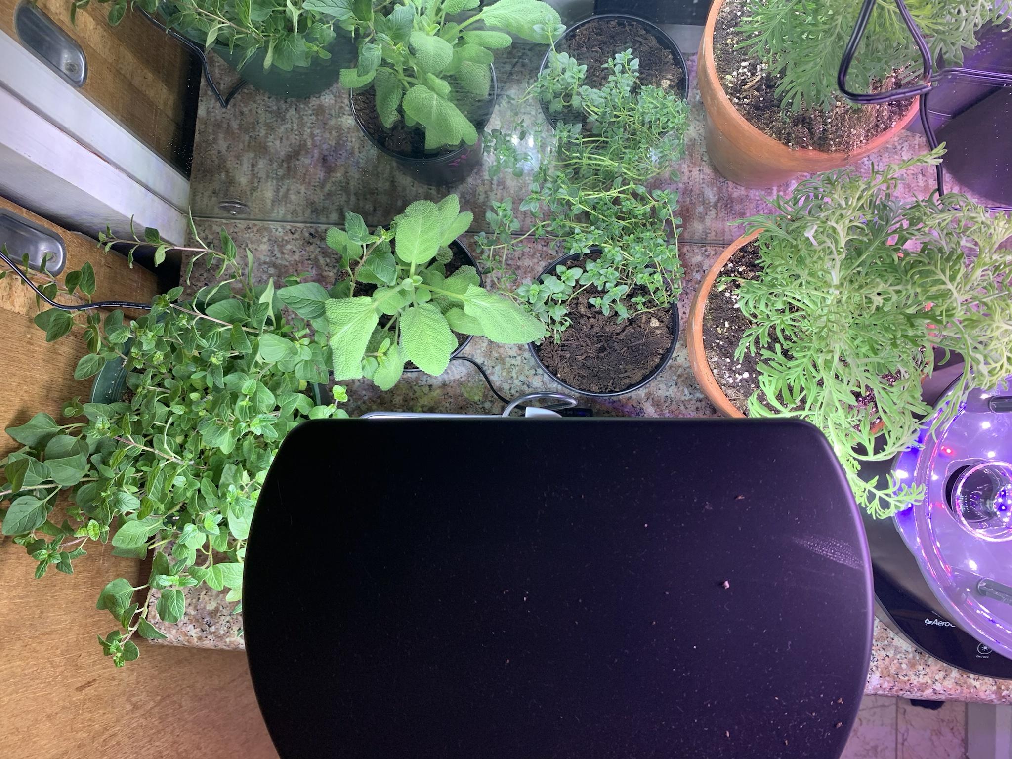 Update #2: Week two - so far so good!The Bounty arrived this morning, and I immediately set it up. I'm leaving four pods em…