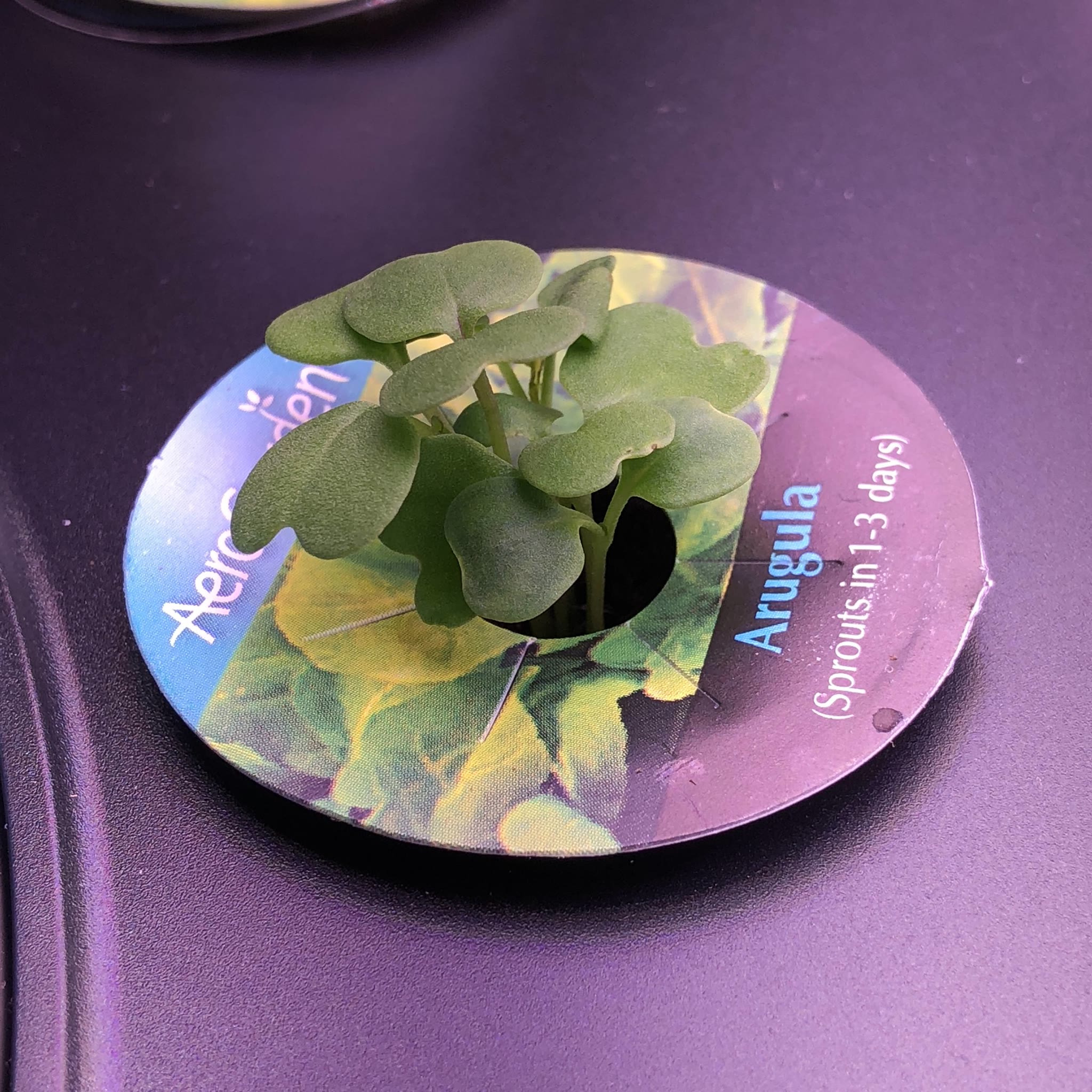Update #3: Well I'm 5 days in and the Baby Greens & one of the Arugula pods are the first to have their domes removed. Unfo…