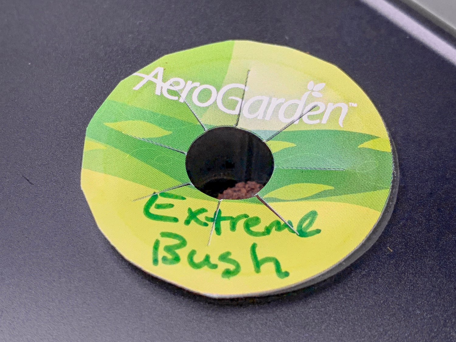 Update #1: This is my first real experimental AeroGardening. Last night I planted two sets of “Extreme Bush” seeds from Vic…