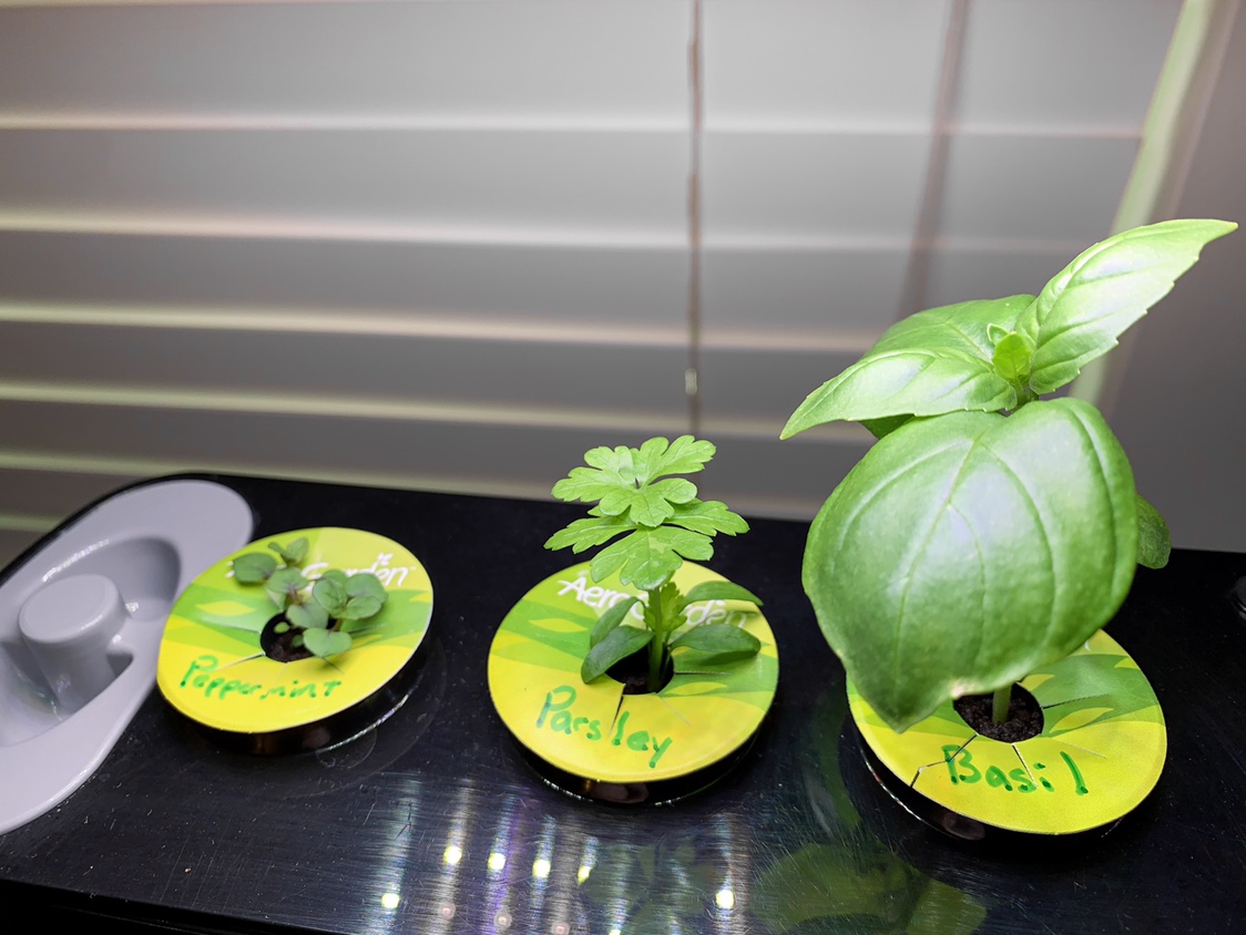 Update #1: As mentioned in my other post I’m now running three Sprouts on top of my Farms. I started the black Sprout back …