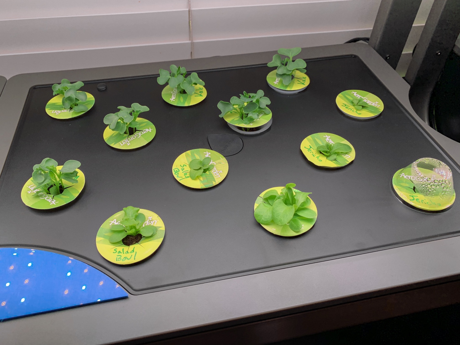 Update #10: Well at this point it looks like we’ve found a pretty good 45-day lettuce rotation between the two Farms. Farm N…