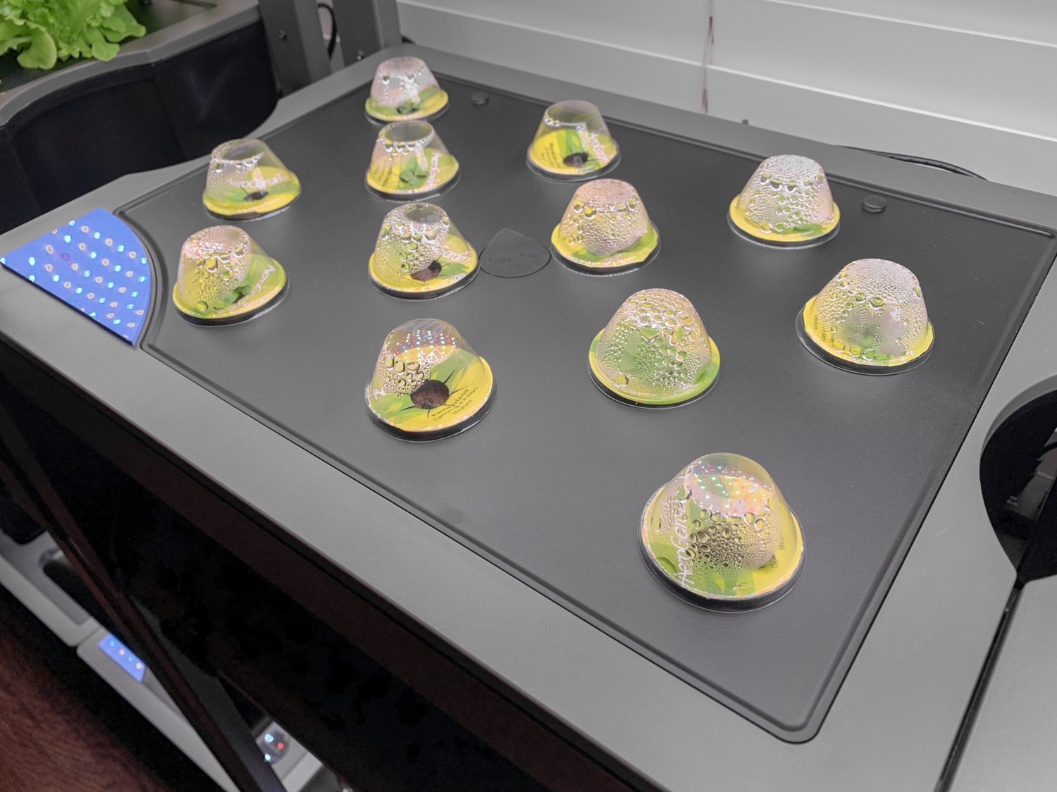 Update #7: Domes will start coming off several of the pods in the duplicate gardens tonight. They’re one week in and everyt…