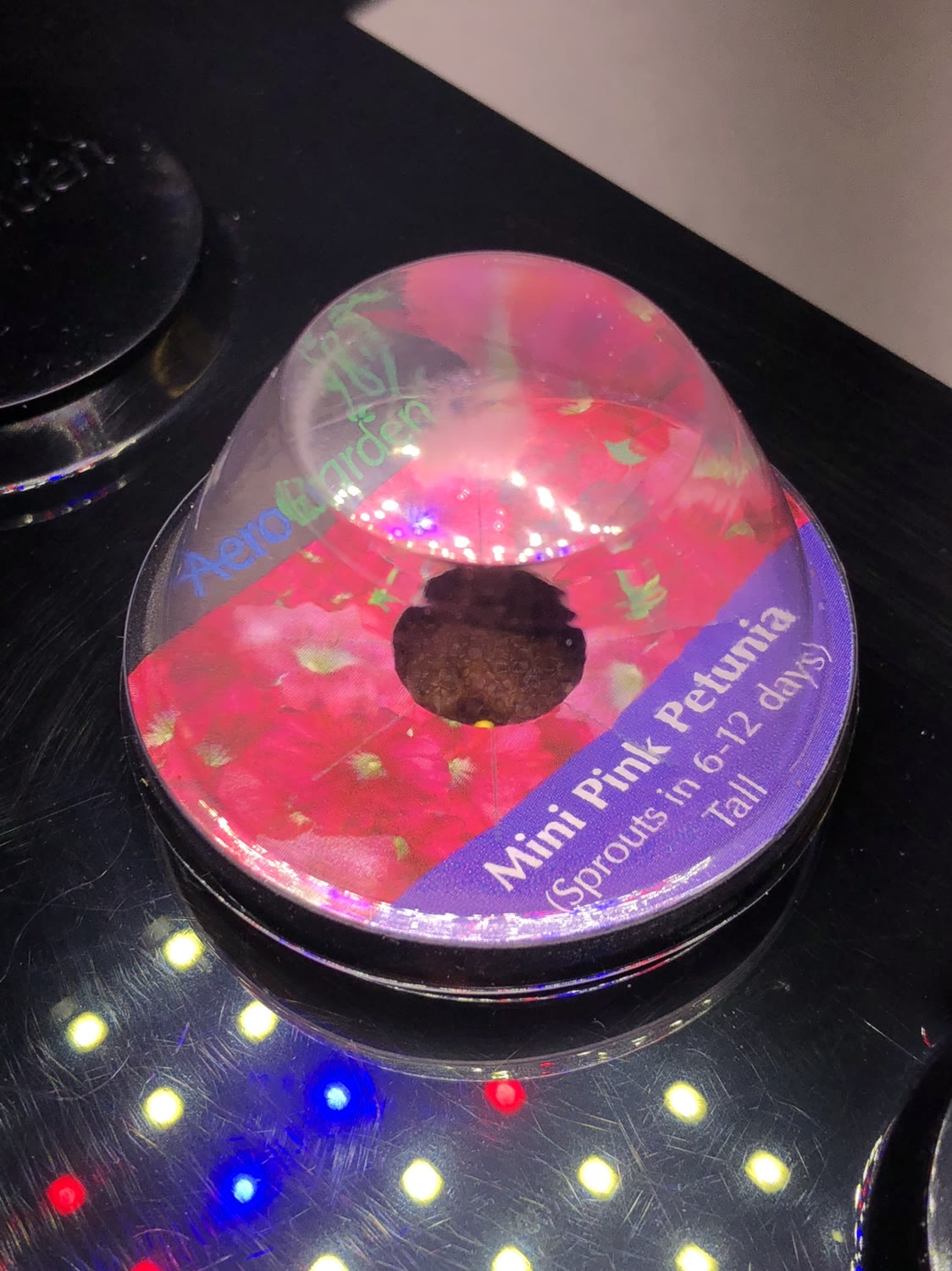 Update #1: My eBay Sprout arrived at the end of last week. It was a little dirty and has lots of light surface scratching, …