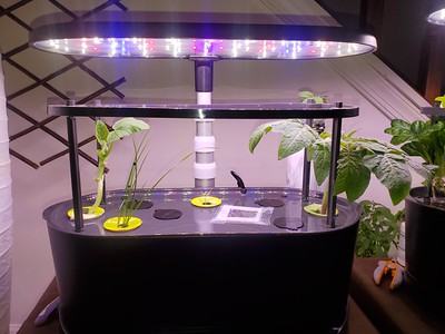 Update #6: Totally taking over! Had to rearrange everything to give her some space!