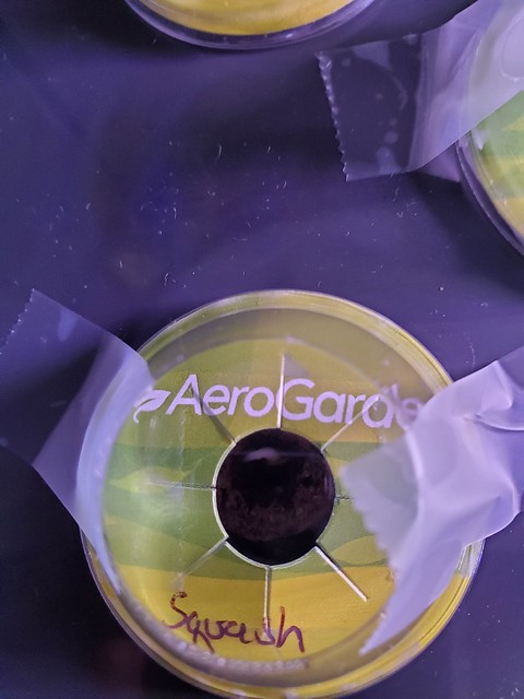 Update #1: Hello AeroGardenAddict farmers!I recently moved in down the road and wanted to share what's going on at Petunia'…