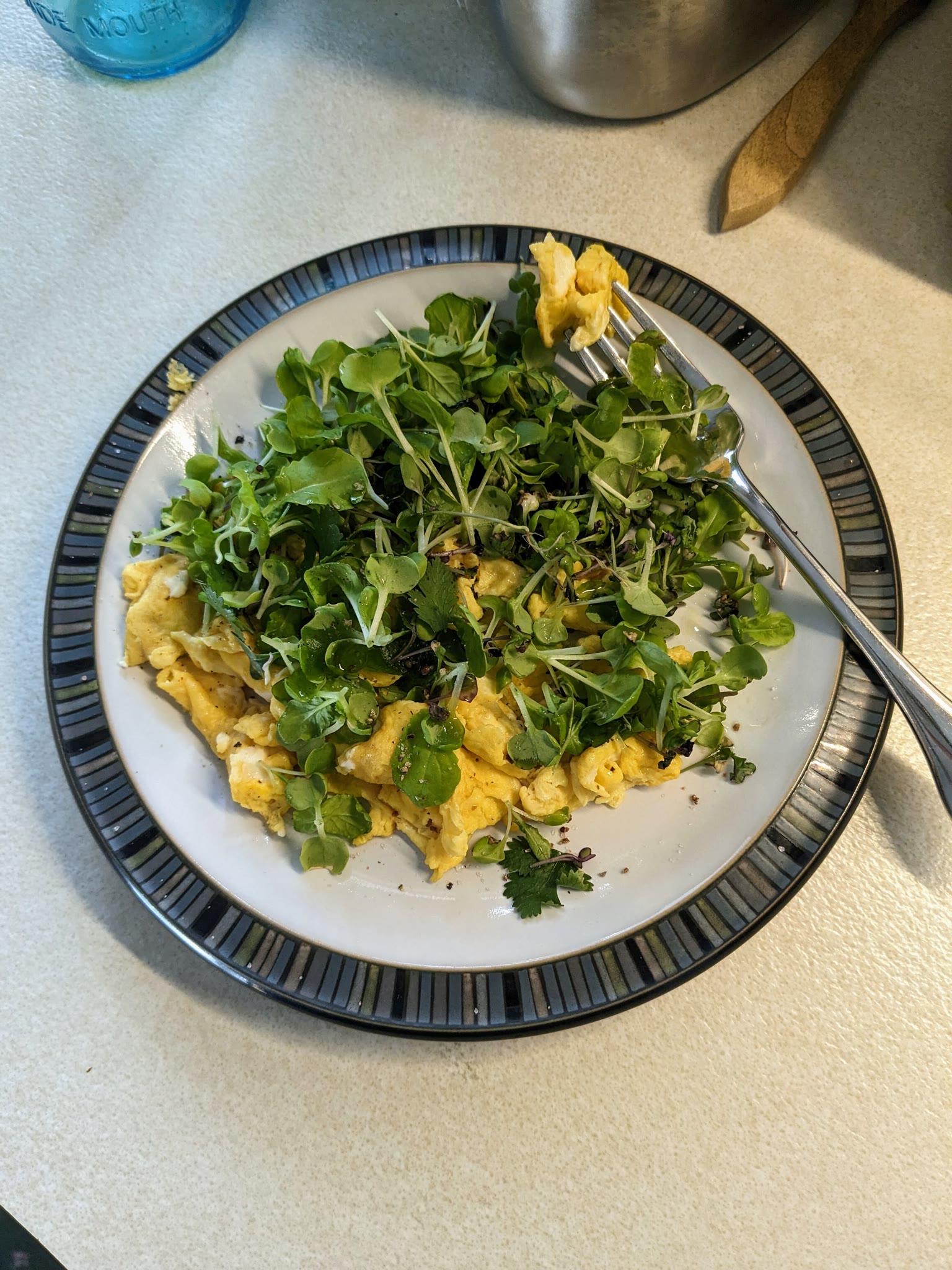 Update #1: Today I harvested my first grow of the AG Spicy Mix microgreens. I could have saved some for another day, but th…