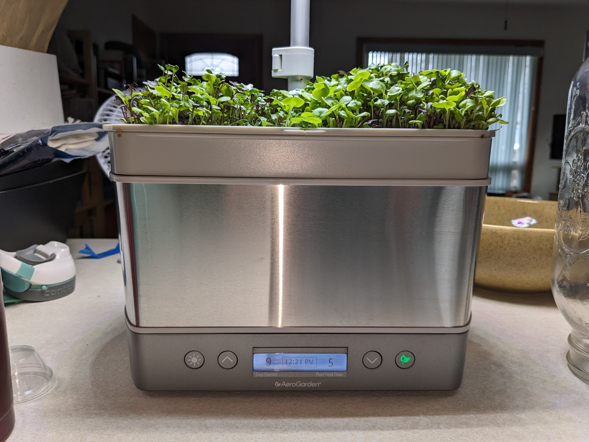 Update #7: Microgreens experiments are continuing ...As our last episode ended, we had unexpected curling of our silicone r…