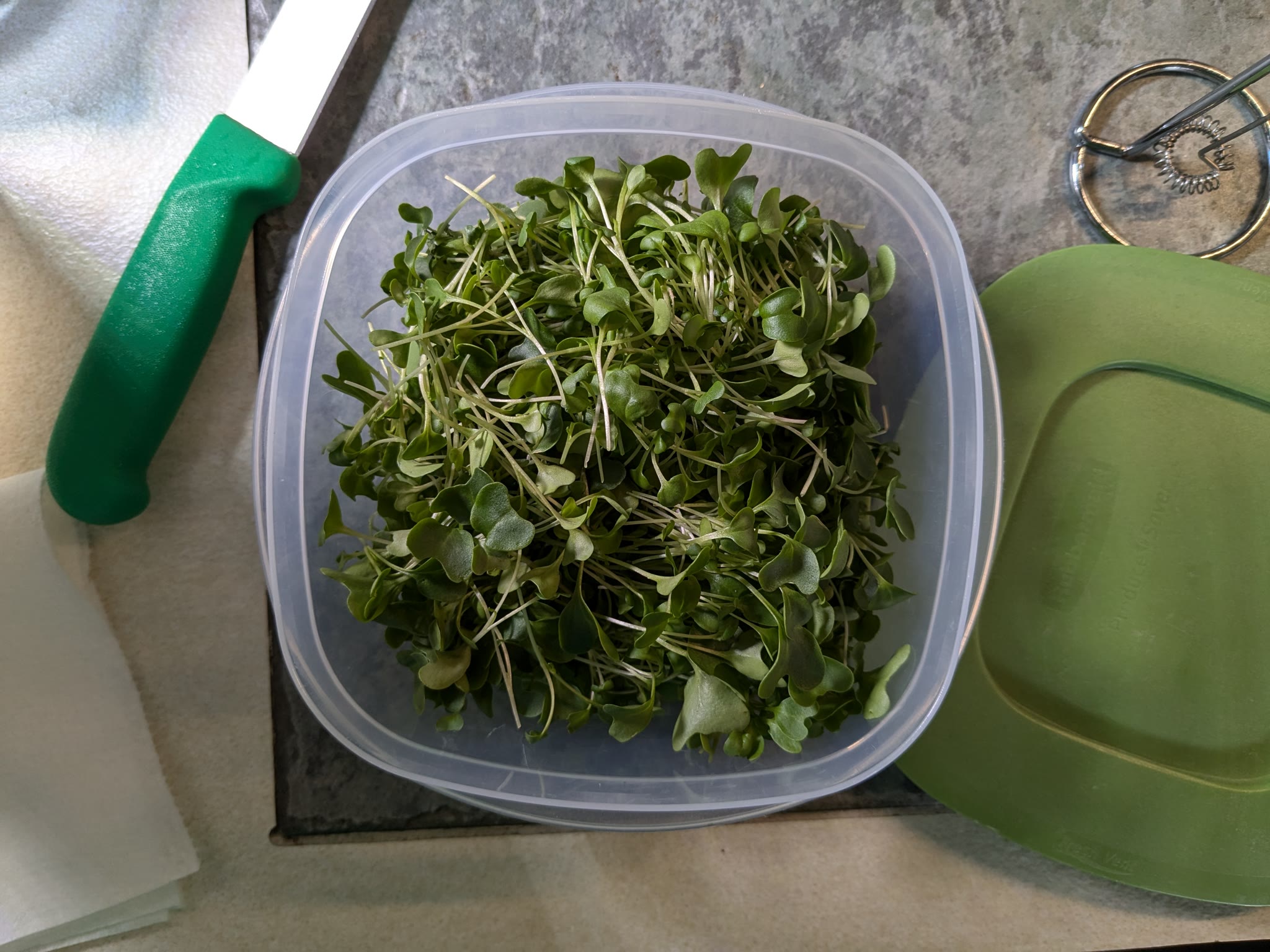 Update #3: So, I harvested my AG "Spicy" microgreens, or what I "thought" was Spicy microgreens, actually, they are the "Su…