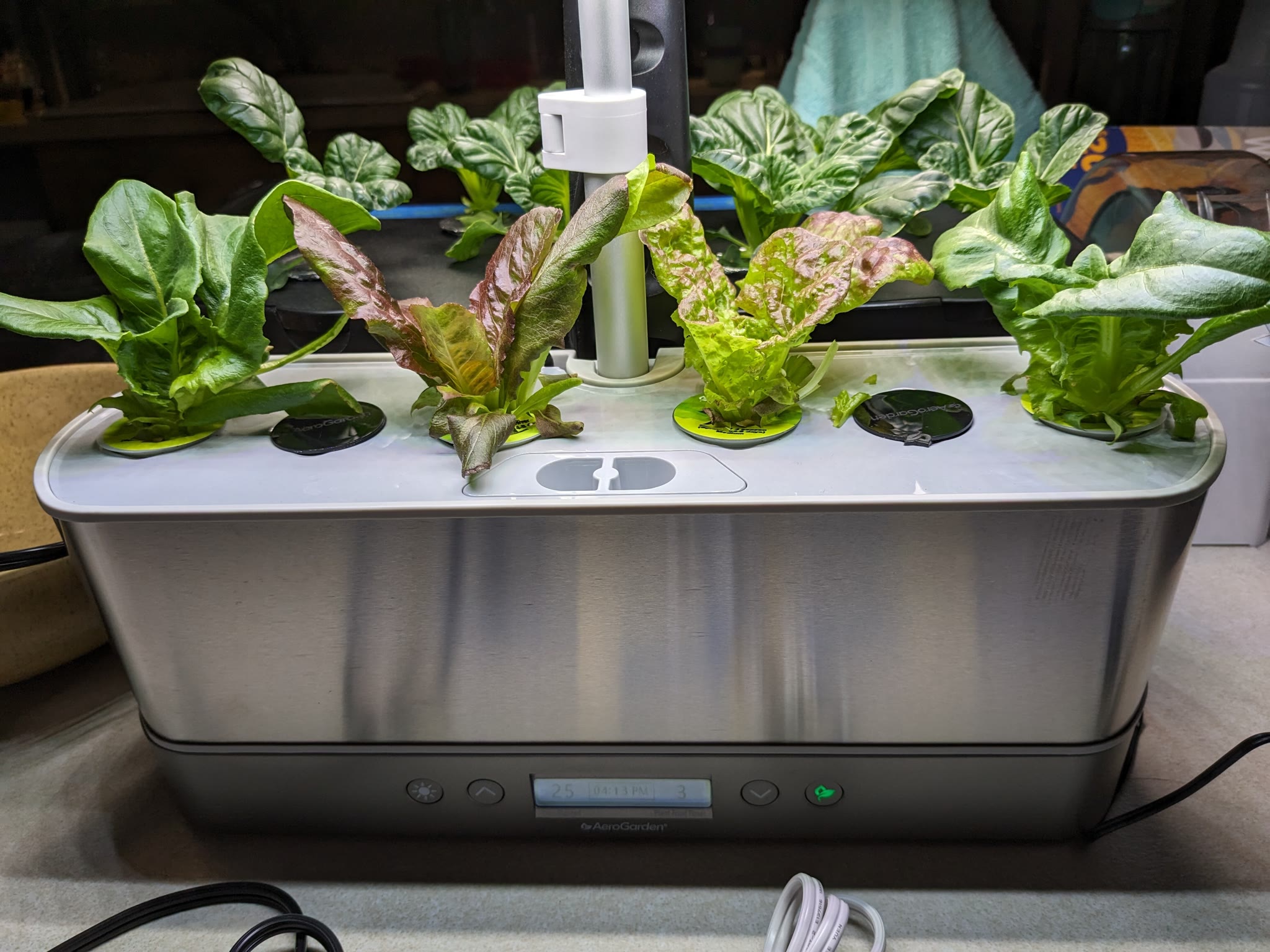 Update #1: Day 24Before harvest:Harvest:After harvest:I raised the lights about an inch, even though the lettuces aren't cl…