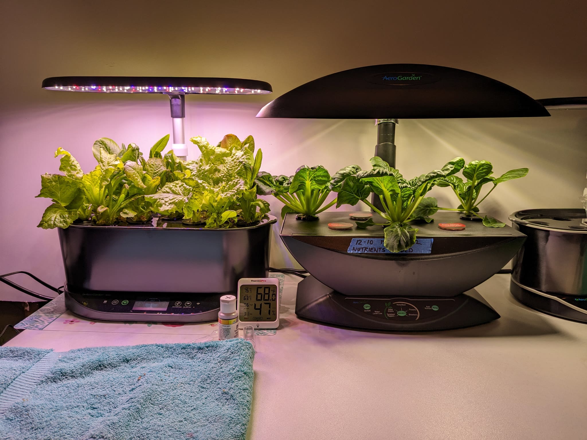Update #2: It definitely needs regular harvesting! The upstairs Tatsoi is still going at almost 3 months. This downstairs o…