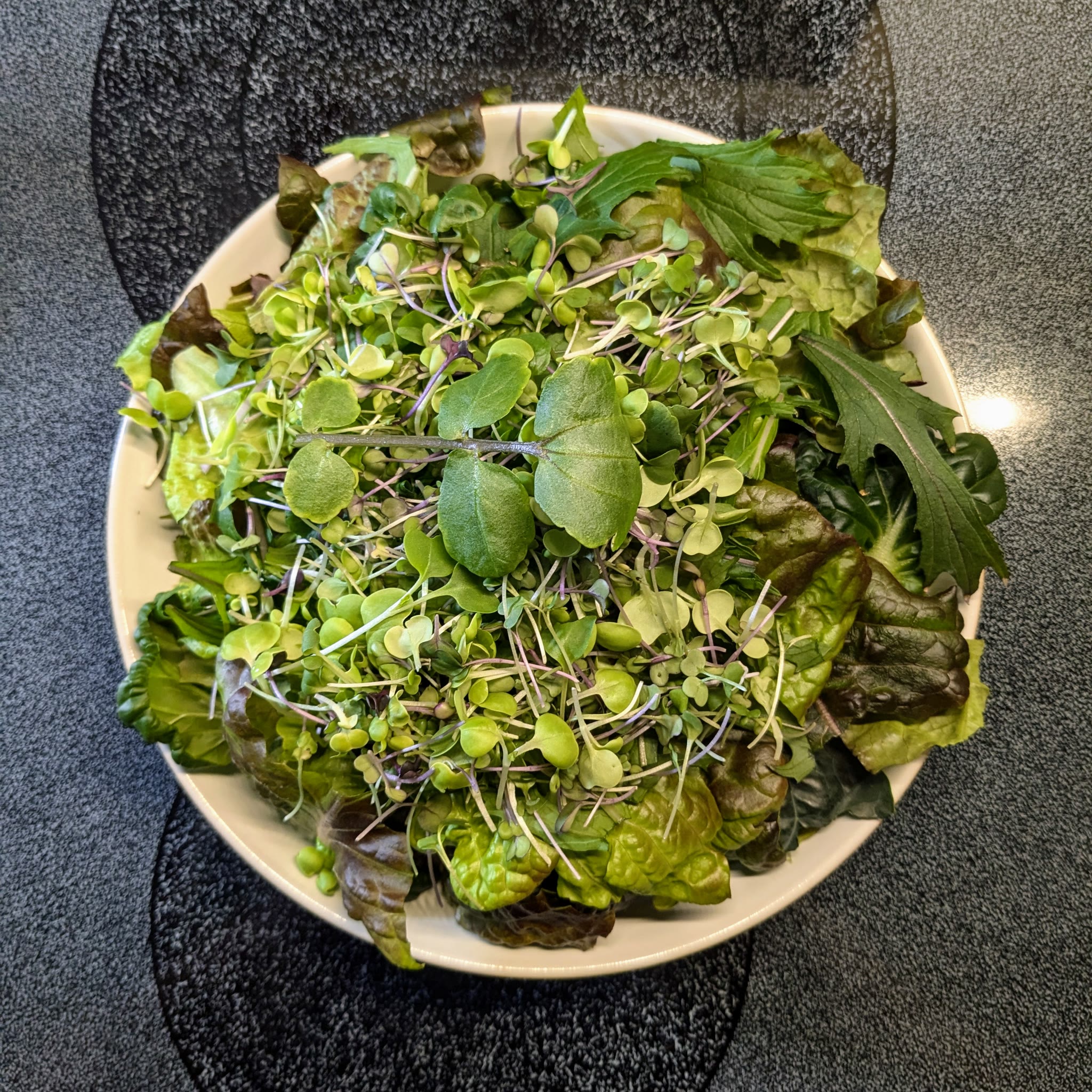 Update #5: I may not have learned my lesson yet. The Harvest got cleaned out, and is now growing arugula.But I wasn't sure …