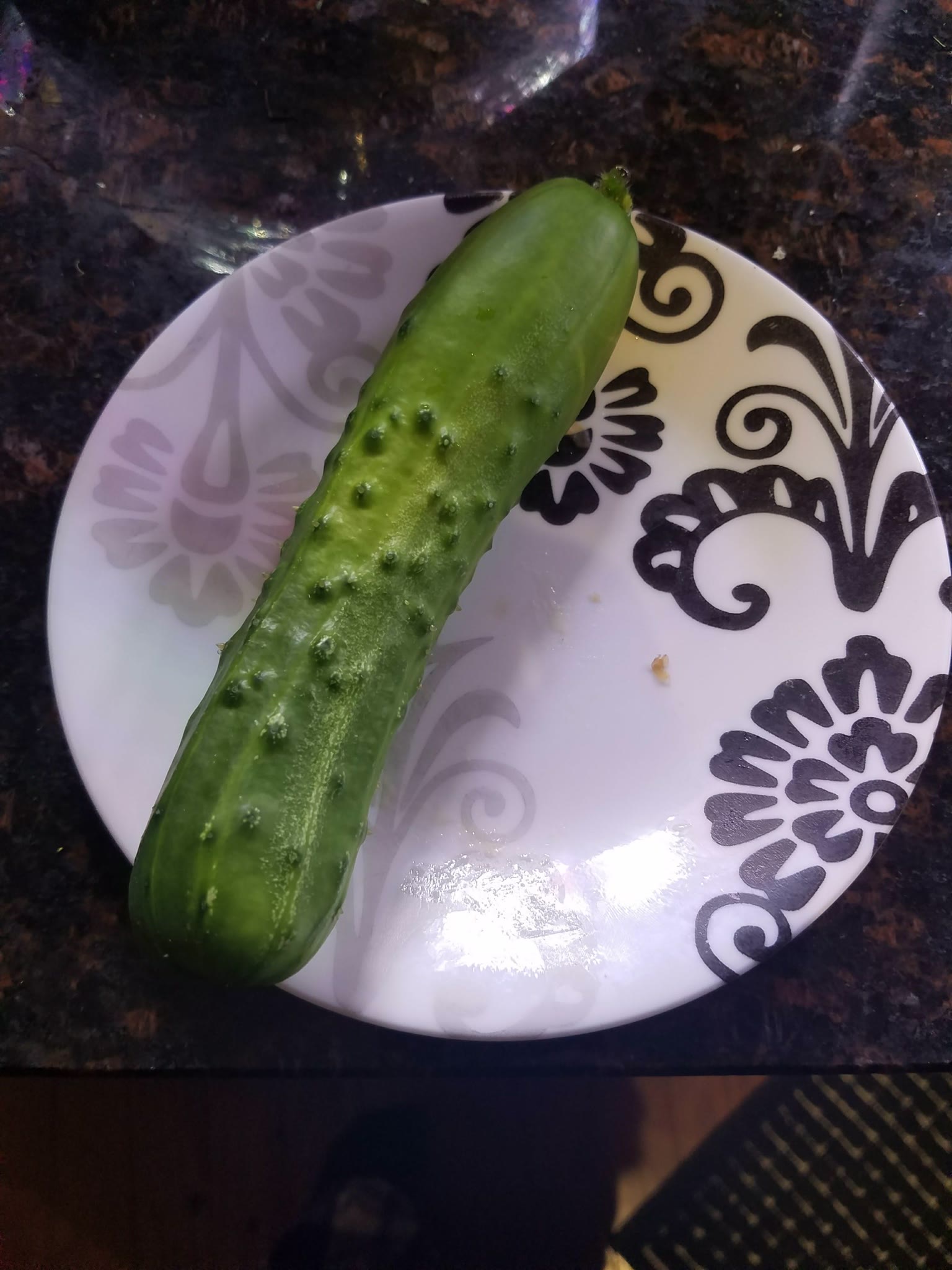 Update #13: For better or for worse I had to terminate the tomatoes today without getting any fruit. I think they were simpl…