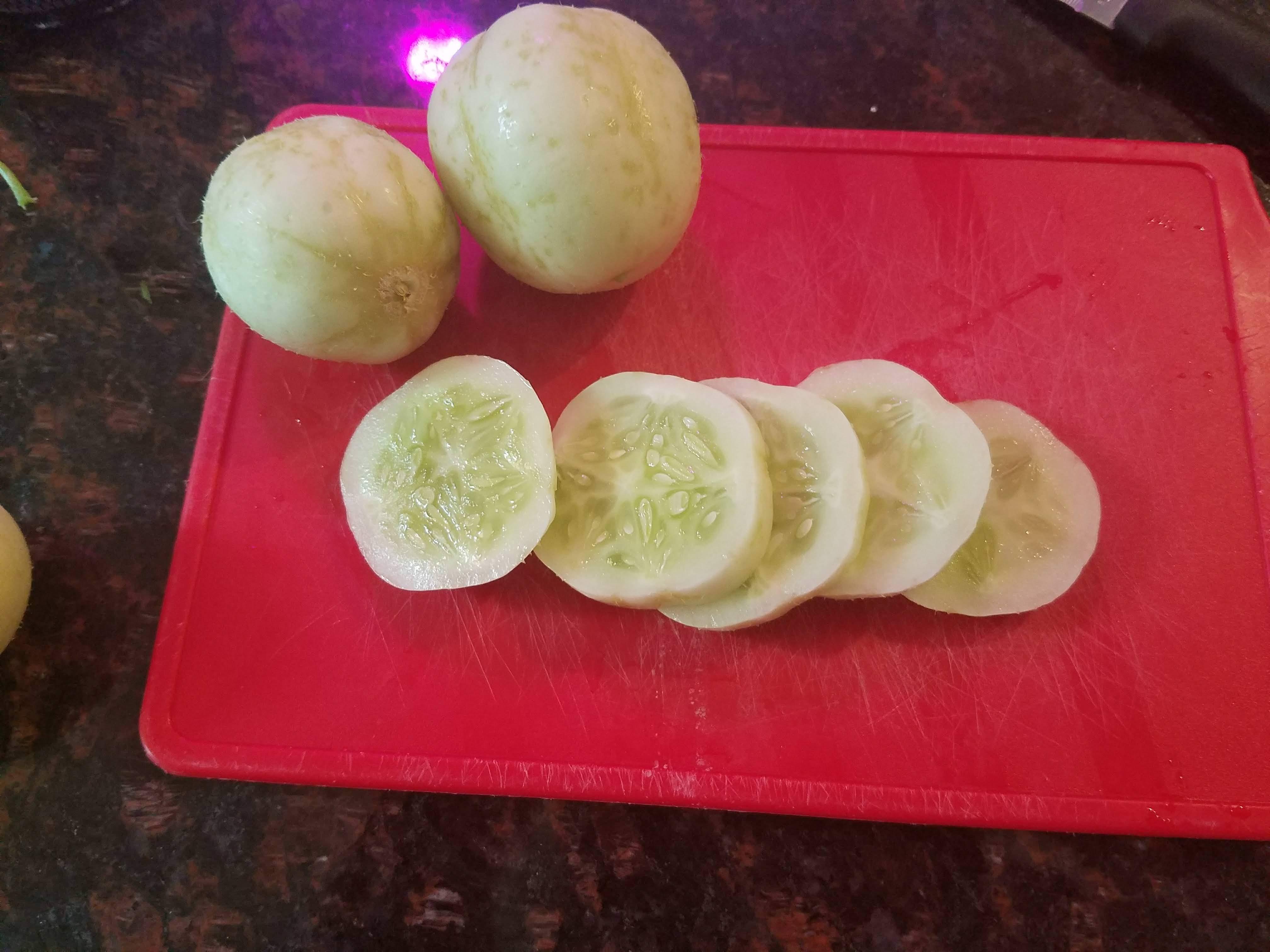 Update #4: I harvested 5 tiny little cucumbers off the bush today. I also had to hack it back quite a bit because I was hav…