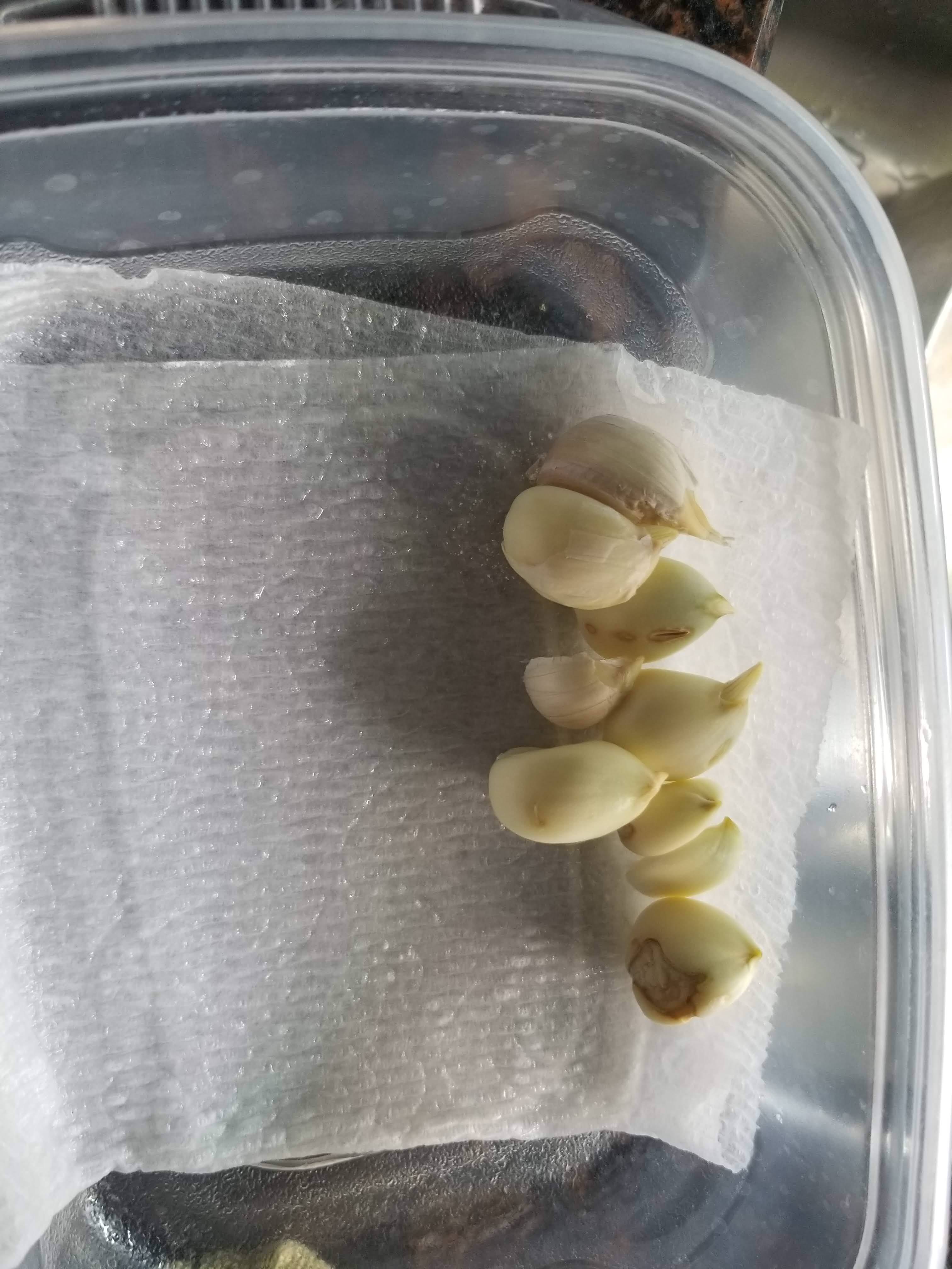 Update #1: In another thread, it was mentioned that it is possible to grow bulbs in an AG. aerogardenaddicts.com/thread/103…
