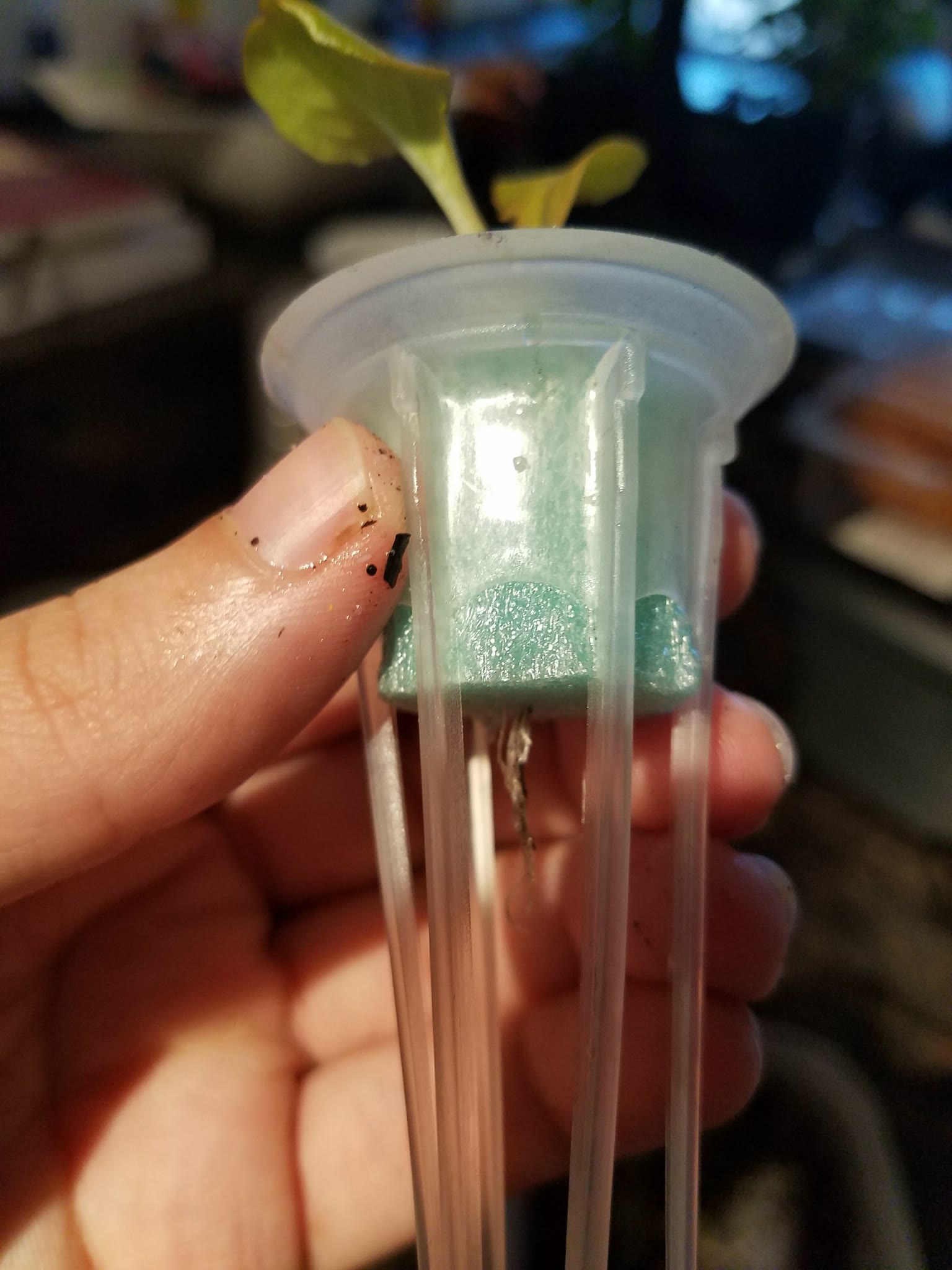 Update #3: I got impatient since the last one is still looking strong after 24 hours. I was going to wait a few days, but I…