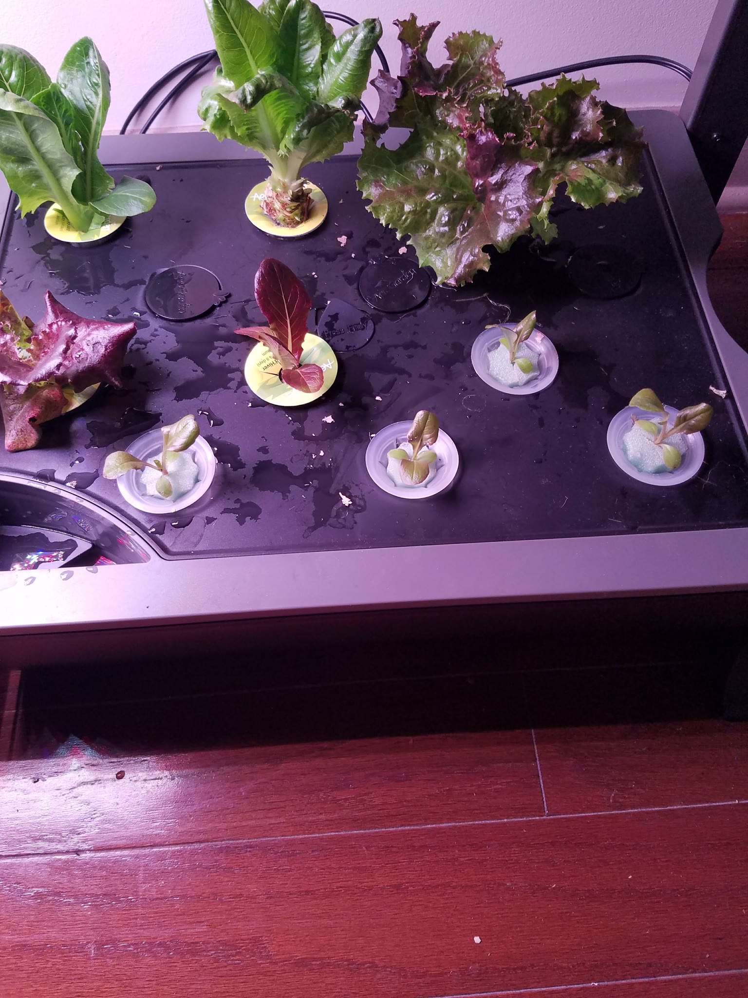 Update #3: I got impatient since the last one is still looking strong after 24 hours. I was going to wait a few days, but I…